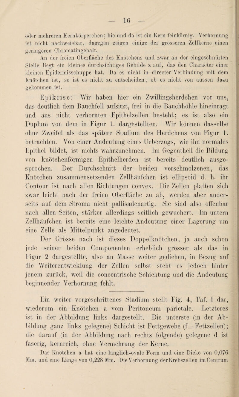 oder mehreren Kernkörperchen; hie und da ist ein Kern feinkörnig. Verhornung ist nicht nachweisbar, dagegen zeigen einige der grösseren Zellkerne einen geringeren Chromatingehalt. An der freien Oberfläche des Knötchens und zwar an der eingeschnürten Stelle liegt ein kleines durchsichtiges Gebilde z auf, das den Character einer kleinen Epidermisschuppe hat. Da es nicht in directer Verbindung mit dem Knötchen ist, so ist es nicht zu entscheiden, ob es nicht von aussen dazu gekommen ist. Epikrise: Wir haben hier ein Zwillingsherdchen vor uns, das deutlich dem Bauchfell aufsitzt, frei in die Bauchhöhle hineinragt und aus nicht verhornten Epithelzellen besteht; es ist also ein Duplum von dem in Figur 1. dargestellten. Wir können dasselbe ohne Zweifel als das spätere Stadium des Herdchens von Figur 1. betrachten. Von einer Andeutung eines Ueberzugs, wie ihn normales Epithel bildet, ist nichts wahrzunehmen. Im Gegentheil die Bildung von knötchenförmigen Epithelherden ist bereits deutlich ausge¬ sprochen. Der Durchschnitt der beiden verschmolzenen, das Knötchen zusammen setzenden Zellhäufchen ist ellipsoid d. h. ihr Contour ist nach allen Richtungen convex. Die Zellen platten sich zwar leicht nach der freien Oberfläche zu ab, werden aber ander¬ seits auf dem Stroma nicht pallisadenartig. Sie sind also offenbar nach allen Seiten, stärker allerdings seitlich gewuchert. Im untern Zellhäufchen ist bereits eine leichte Andeutung einer Lagerung um eine Zelle als Mittelpunkt angedeutet. Der Grösse nach ist dieses Doppelknötchen, ja auch schon jede seiner beiden Componenten erheblich grösser als das in Figur 2 dargestellte, also an Masse weiter gediehen, in Bezug auf die Weiterentwicklung der Zellen selbst steht es jedoch hinter jenem zurück, weil die concentrische Schichtung und die Andeutung beginnender Verhornung fehlt. Ein weiter vorgeschrittenes Stadium stellt Fig. 4, Tal. I dar, wiederum ein Knötchen a vom Peritoneum parietale. Letzteres ist in der Abbildung links dargestellt. Die unterste (in der Ab¬ bildung ganz links gelegene) Schicht ist Fettgewebe (f=Fettzellen); die darauf (in der Abbildung nach rechts folgende) gelegene d ist faserig, kernreich, ohne Vermehrung der Kerne. Das Knötchen a hat eine länglich-ovale Form und eine Dicke von 0,076 Mm. und eine Länge von 0,228 Mm. Die Verhornung der Krebszellen im Centrum