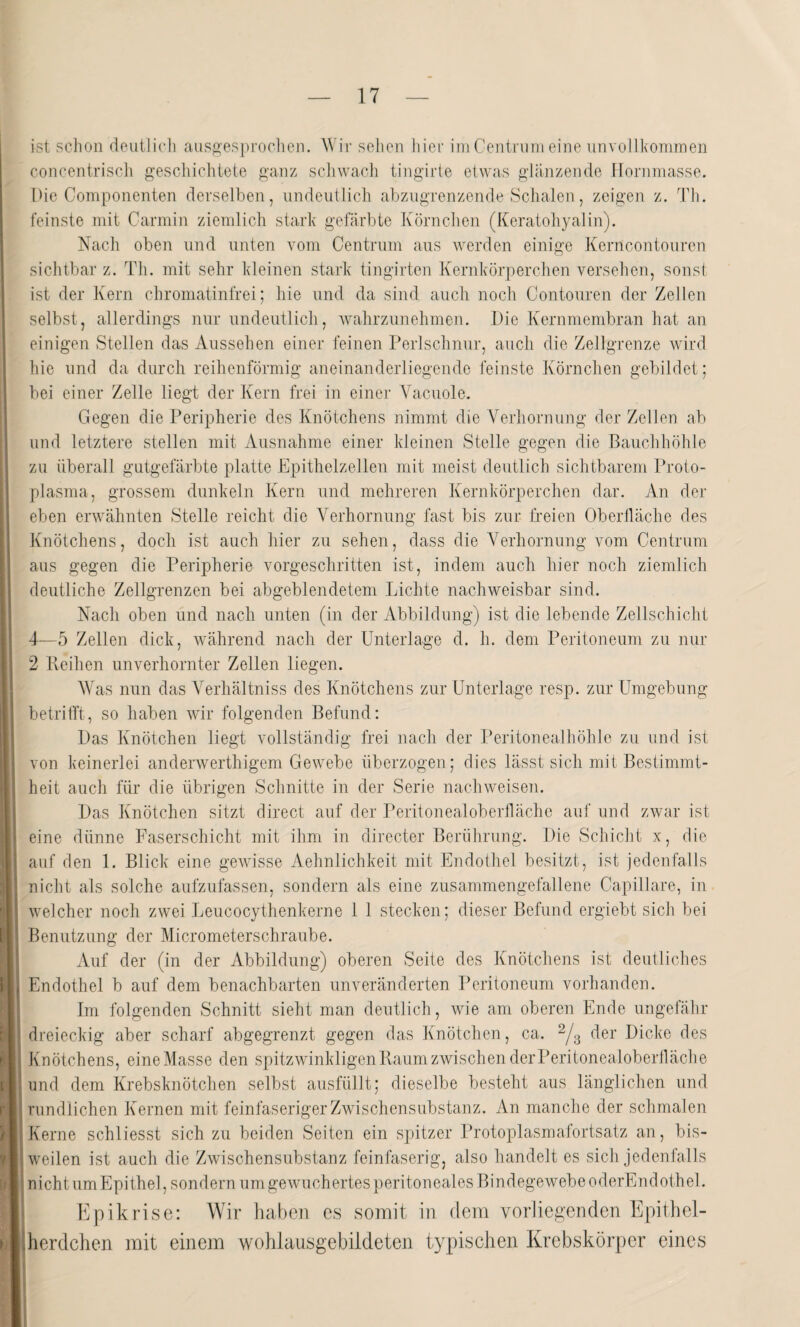 ist schon deutlich ausgesprochen. Wir sehen hier imCentrumeine unvollkommen concentrisch geschichtete ganz schwach tingirte etwas glanzende Hornmasse. Hie Componenten derselben, undeutlich abzugrenzende Schalen, zeigen z. Th. feinste mit Carmin ziemlich stark gefärbte Körnchen (Keratohyalin). Nach oben und unten vom Centrum aus werden einige Kerncontouren sichtbar z. Th. mit sehr kleinen stark tingirten Kernkörperchen versehen, sonst ist der Kern chromatinfrei; hie und da sind auch noch Contouren der Zellen selbst, allerdings nur undeutlich, wahrzunehmen. Die Kernmembran hat an einigen Stellen das Aussehen einer feinen Perlschnur, auch die Zellgrenze wird hie und da durch reihenförmig aneinanderliegende feinste Körnchen gebildet; bei einer Zelle liegt der Kern frei in einer Yacuole. Gegen die Peripherie des Knötchens nimmt die Verhornung der Zellen ab und letztere stellen mit Ausnahme einer kleinen Stelle gegen die Bauchhöhle zu überall gutgefärbte platte Epithelzellen mit meist deutlich sichtbarem Proto¬ plasma, grossem dunkeln Kern und mehreren Kernkörperchen dar. An der eben erwähnten Stelle reicht die Verhornung fast bis zur freien Oberfläche des Knötchens, doch ist auch hier zu sehen, dass die Verhornung vom Centrum aus gegen die Peripherie vorgeschritten ist, indem auch hier noch ziemlich deutliche Zellgrenzen bei abgeblendetem Lichte nachweisbar sind. Nach oben und nach unten (in der Abbildung) ist die lebende Zellschicht 4—5 Zellen dick, während nach der Unterlage d. h. dem Peritoneum zu nur 2 Reihen unverhornter Zellen liegen. Was nun das Verhältniss des Knötchens zur Unterlage resp. zur Umgebung betrifft, so haben wir folgenden Befund: Das Knötchen liegt vollständig frei nach der Peritonealhöhle zu und ist von keinerlei anderwerthigem Gewebe überzogen; dies lässt sich mit Bestimmt¬ heit auch für die übrigen Schnitte in der Serie nachweisen. Das Knötchen sitzt direct auf der Peritonealoberfläche auf und zwar ist eine dünne Faserschicht mit ihm in directer Berührung. Die Schicht x, die auf den 1. Blick eine gewisse Aehnlichkeit mit Endothel besitzt, ist jedenfalls nicht als solche aufzufassen, sondern als eine zusammengefallene Capillare, in welcher noch zwei Leucocythenkerne 1 1 stecken; dieser Befund ergiebt sieb bei Benutzung der Micrometerschraube. Auf der (in der Abbildung) oberen Seite des Knötchens ist deutliches Endothel b auf dem benachbarten unveränderten Peritoneum vorhanden. Im folgenden Schnitt sieht man deutlich, wie am oberen Ende ungefähr dreieckig aber scharf abgegrenzt gegen das Knötchen, ca. 2/3 der Dicke des Knötchens, eine Masse den spitzwinkligen Raum zwischen der Peritonealoberfläche und dem Krebsknötchen selbst ausfüllt; dieselbe besteht aus länglichen und rund lichen Kernen mit feinfaseriger Zwischensubstanz. An manche der schmalen Kerne schliesst sich zu beiden Seiten ein spitzer Protoplasmafortsatz an, bis¬ weilen ist auch die Zwischensubstanz feinfaserig, also handelt es sich jedenfalls nicht um Epithel, sondern umgewuchertes peritoneales Bindegewebe oderEndothel. Epikrise: Wir haben es somit in dem vorliegenden Epithel- herdchen mit einem wohlausgebildeten typischen Krebskörper eines