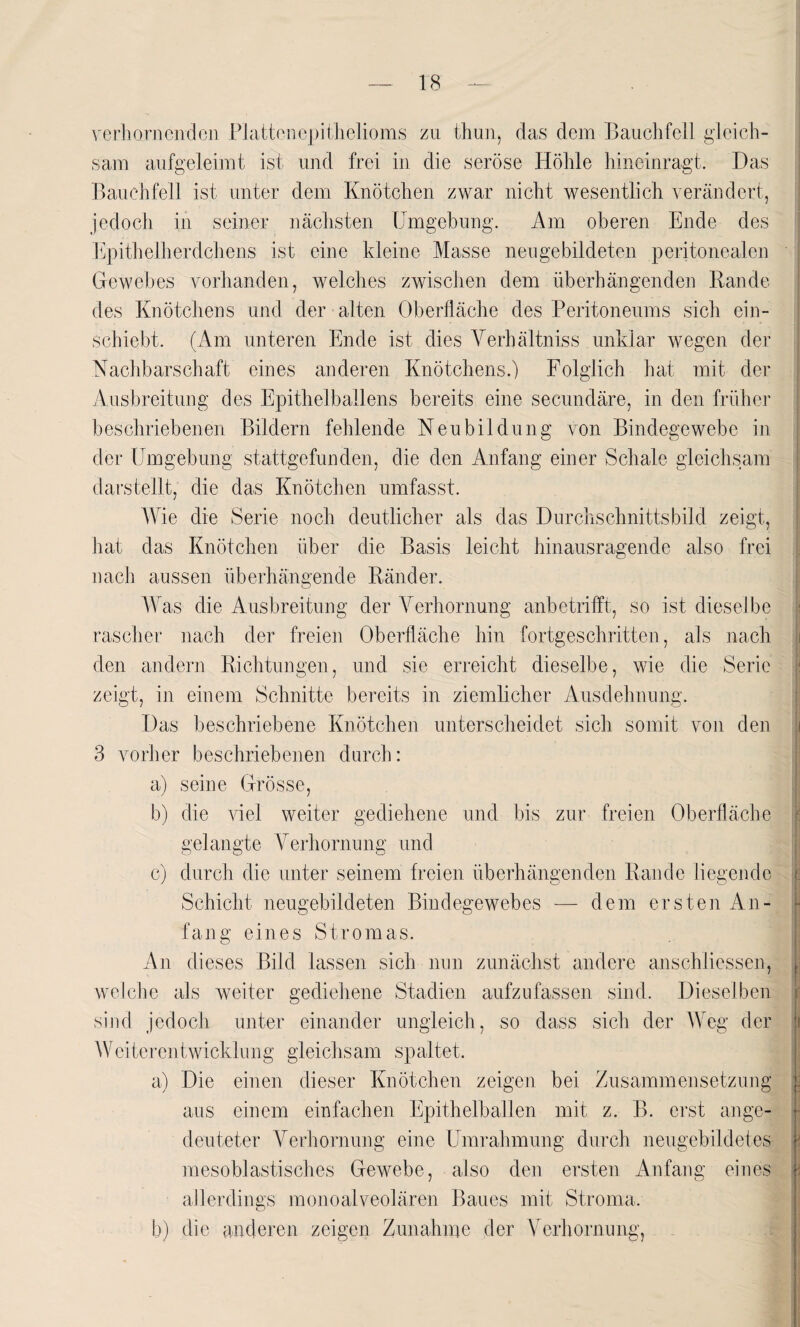 verhornenden Plattenepithelioms zu thun, das dem Bauchfell gleich¬ sam aufgeleimt ist und frei in die seröse Höhle hineinragt. Das Bauchfell ist unter dem Knötchen zwar nicht wesentlich verändert, jedoch in seiner nächsten Umgebung. Am oberen Ende des Epithelherdchens ist eine kleine Masse neugebildeten peritonealen Gewebes vorhanden, welches zwischen dem überhängenden Rande des Knötchens und der alten Oberfläche des Peritoneums sich ein¬ schiebt, (Am unteren Ende ist dies Verbältniss unklar wegen der Nachbarschaft eines anderen Knötchens.) Folglich hat mit der Ausbreitung des Epithel bailens bereits eine secundäre, in den früher beschriebenen Bildern fehlende Neubildung von Bindegewebe in der Umgebung stattgefunden, die den Anfang einer Schale gleichsam darstellt, die das Knötchen umfasst. Wie die Serie noch deutlicher als das Durchschnittsbild zeigt, hat das Knötchen über die Basis leicht hinausragende also frei nach aussen überhängende Ränder. Was die Ausbreitung der Verhornung anbetrifft, so ist dieselbe rascher nach der freien Oberfläche hin fortgeschritten, als nach den andern Richtungen, und sie erreicht dieselbe, wie die Serie zeigt, in einem Schnitte bereits in ziemlicher Ausdehnung. Das beschriebene Knötchen unterscheidet sich somit von den 3 vorher beschriebenen durch: a) seine Grösse, b) die viel weiter gediehene und bis zur freien Oberfläche gelangte Verhornung und c) durch die unter seinem freien überhängenden Rande liegende Schicht neugebildeten Bindegewebes — dem ersten An¬ fang eines Stromas. An dieses Bild lassen sich nun zunächst andere anschiiessen, welche als weiter gediehene Stadien aufzufassen sind. Dieselben sind jedoch unter einander ungleich, so dass sich der Weg der i Weiterentwicklung gleichsam spaltet. a) Die einen dieser Knötchen zeigen bei Zusammensetzung j aus einem einfachen Epithelballen mit z. B. erst ange¬ deuteter Verhornung eine Umrahmung durch neugebildetes i mesoblastisches Gewebe, also den ersten Anfang eines ;| allerdings monoalveolären Baues mit Stroma, b) die anderen zeigen Zunahme der Verhornung,