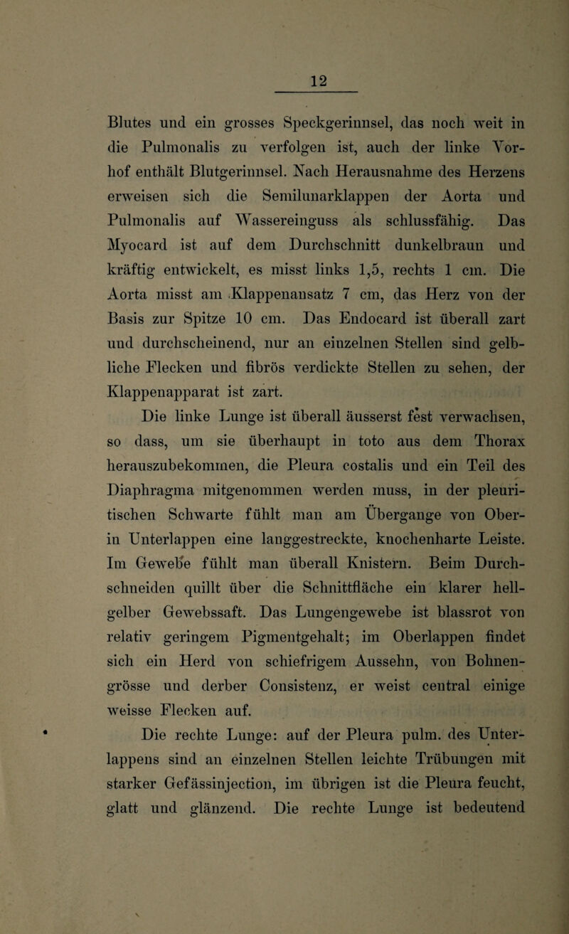 Blutes und ein grosses Speckgerinnsel, das noch weit in die Pulmonalis zu verfolgen ist, auch der linke Yor- hof enthält Blutgerinnsel. Nach Herausnahme des Herzens erweisen sich die Semilunarklappen der Aorta und Pulmonalis auf Wassereinguss als schlussfähig. Das Myocard ist auf dem Durchschnitt dunkelbraun und kräftig entwickelt, es misst links 1,5, rechts 1 cm. Die Aorta misst am .Klappenansatz 7 cm, das Herz von der Basis zur Spitze 10 cm. Das Endocard ist überall zart und durchscheinend, nur an einzelnen Stellen sind gelb¬ liche Flecken und fibrös verdickte Stellen zu sehen, der Klappenapparat ist zart. Die linke Lunge ist überall äusserst fest verwachsen, so dass, um sie überhaupt in toto aus dem Thorax herauszubekommen, die Pleura costalis und ein Teil des Diaphragma mitgenommen werden muss, in der pleuri- tischen Schwarte fühlt man am Übergange von Ober¬ in Unterlappen eine langgestreckte, knochenharte Leiste. Im Gewebe fühlt man überall Knistern. Beim Durch¬ schneiden quillt über die Schnittfläche ein klarer hell¬ gelber Gewebssaft. Das Lungengewebe ist blassrot von relativ geringem Pigmentgehalt; im Oberlappen findet sich ein Herd von schiefrigem Aussehn, von Bohnen¬ grösse und derber Consistenz, er weist central einige weisse Flecken auf. Die rechte Lunge: auf der Pleura pulm. des Unter¬ lappens sind an einzelnen Stellen leichte Trübungen mit starker Gefässinjection, im übrigen ist die Pleura feucht, glatt und glänzend. Die rechte Lunge ist bedeutend