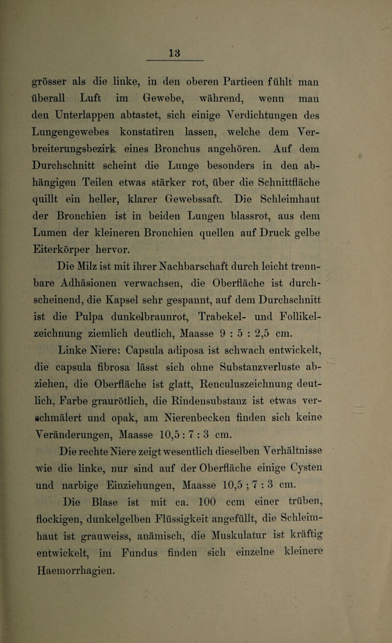 la grösser als die linke, in den oberen Partieen fühlt man überall Luft im Gewebe, während, wenn man den Unterlappen abtastet, sich einige Verdichtungen des Lungengewebes konstatiren lassen, welche dem Ver¬ breiterungsbezirk eines Bronchus angehören. Auf dem Durchschnitt scheint die Lunge besonders in den ab¬ hängigen Teilen etwas stärker rot, über die Schnittfläche quillt ein heller, klarer Gewebssaft. Die Schleimhaut der Bronchien ist in beiden Lungen blassrot, aus dem Lumen der kleineren Bronchien quellen auf Druck gelbe Eiterkörper hervor. Die Milz ist mit ihrer Nachbarschaft durch leicht trenn¬ bare Adhäsionen verwachsen, die Oberfläche ist durch¬ scheinend, die Kapsel sehr gespannt, auf dem Durchschnitt ist die Pulpa dunkelbraunrot, Trabekel- und Follikel¬ zeichnung ziemlich deutlich, Maasse 9 : 5 : 2,5 cm. Linke Niere: Capsula adiposa ist schwach entwickelt, die capsula fibrosa lässt sich ohne Substanzverluste ab- ziehen, die Oberfläche ist glatt, Benculuszeichnung* deut¬ lich, Farbe graurötlich, die Bindensubstanz ist etwas ver¬ schmälert und opak, am Nierenbecken finden sich keine Veränderungen, Maasse 10,5 : 7 : 3 cm. Die rechte Niere zeigt wesentlich dieselben Verhältnisse wie die linke, nur sind auf der Oberfläche einige Cysten und narbige Einziehungen, Maasse 10,5 ; 7 : 3 cm. Die Blase ist mit ca. 100 ccm einer trüben, flockigen, dunkelgelben Flüssigkeit angefüllt, die Schleim¬ haut ist grauweiss, anämisch, die Muskulatur ist kräftig entwickelt, im Fundus finden sich einzelne kleinere Haem orrhagie n.