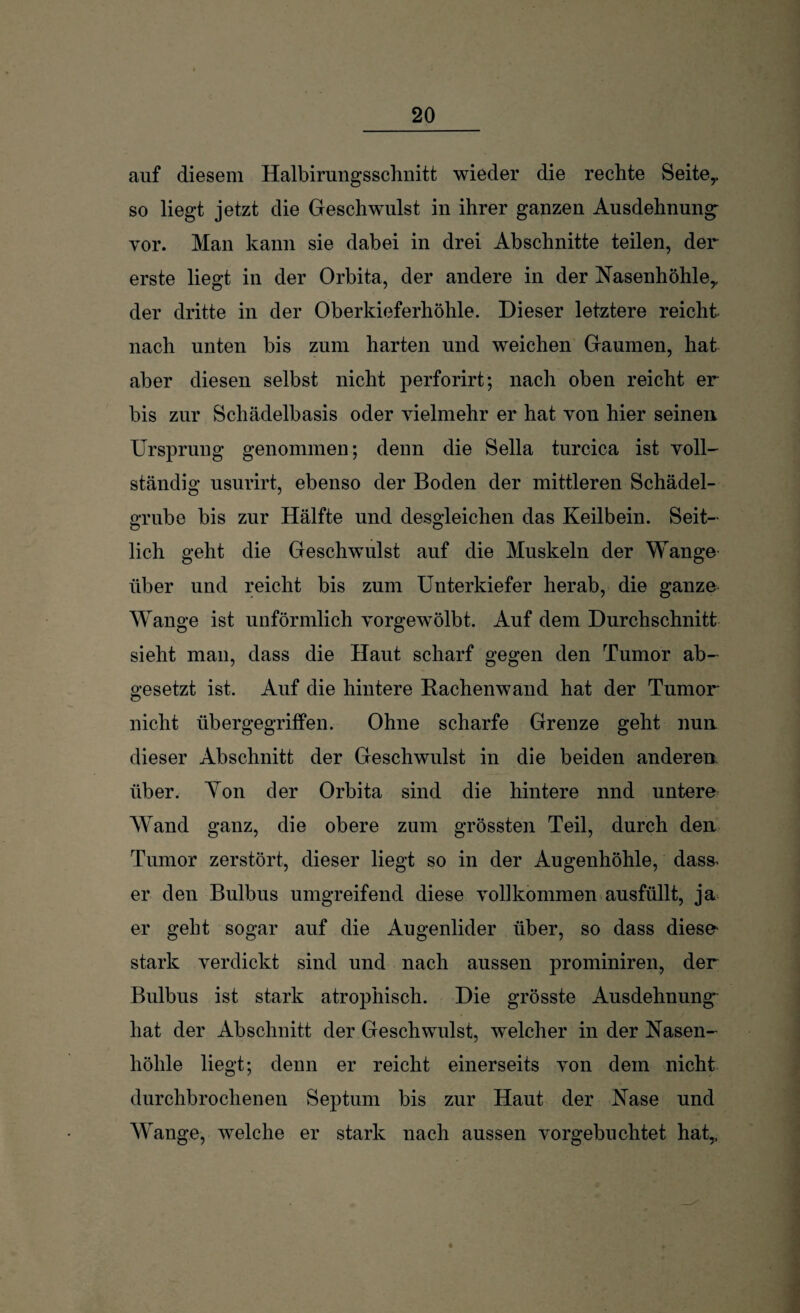 auf diesem Halbirungsschnitt wieder die rechte Seitey so liegt jetzt die Geschwulst in ihrer ganzen Ausdehnung vor. Man kann sie dabei in drei Abschnitte teilen, der erste liegt in der Orbita, der andere in der Nasenhöhle,, der dritte in der Oberkieferhöhle. Dieser letztere reicht nach unten bis zum harten und weichen Gaumen, hat aber diesen selbst nicht perforirt; nach oben reicht er bis zur Schädelbasis oder vielmehr er hat von hier seinen Ursprung genommen; denn die Sella turcica ist voll¬ ständig usurirt, ebenso der Boden der mittleren Schädel- grube bis zur Hälfte und desgleichen das Keilbein. Seit¬ lich geht die Geschwulst auf die Muskeln der Wange über und reicht bis zum Unterkiefer herab, die ganze Wange ist unförmlich vorgewölbt. Auf dem Durchschnitt sieht man, dass die Haut scharf gegen den Tumor ab¬ gesetzt ist. Auf die hintere Rachenwand hat der Tumor nicht üb er gegriffen. Ohne scharfe Grenze geht nun dieser Abschnitt der Geschwulst in die beiden anderen über. Yon der Orbita sind die hintere nnd untere Wand ganz, die obere zum grössten Teil, durch den Tumor zerstört, dieser liegt so in der Augenhöhle, dass, er den Bulbus umgreifend diese vollkommen ausfüllt, ja er geht sogar auf die Augenlider über, so dass diese- stark verdickt sind und nach aussen prominiren, der Bulbus ist stark atrophisch. Die grösste Ausdehnung hat der Abschnitt der Geschwulst, welcher in der Nasen¬ höhle liegt; denn er reicht einerseits von dem nicht durchbrochenen Septum bis zur Haut der Nase und Wange, welche er stark nach aussen vorgebuchtet hat,,