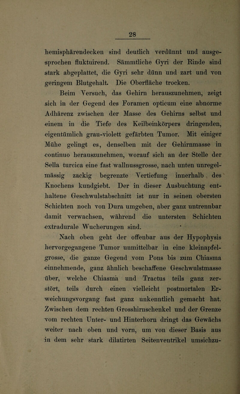 hemisphärendecken sind deutlich verdünnt und ausge¬ sprochen fluktuirend. Sämmtliche Gyri der Rinde sind stark abgeplattet, die Gyri sehr dünn und zart und von geringem Blutgehalt. Die Oberfläche trocken. Beim Yersuch, das Gehirn herauszunehmen, zeigt sich in der Gegend des Foramen opticum eine abnorme Adhärenz zwischen der Masse des Gehirns selbst und •einem in die Tiefe des Keilbeinkörpers dringenden, eigentümlich grau-violett gefärbten Tumor. Mit einiger Mühe gelingt es, denselben mit der Gehirnmasse in continuo herauszunehmen, worauf sich an der Stelle der Sella turcica eine fast wallnussgrosse, nach unten unregel¬ mässig zackig begrenzte Yertiefung innerhalb des Knochens kundgiebt. Der in dieser Ausbuchtung ent¬ haltene Geschwulstabschnitt ist nur in seinen obersten Schichten noch von Dura umgeben, aber ganz untrennbar damit verwachsen, während die untersten Schichten extradurale Wucherungen sind. Nach oben geht der offenbar aus der Hypophysis hervorgegangene Tumor unmittelbar in eine kleinapfel¬ grosse, die ganze Gegend vom Pons bis zum Chiasma einnehmende, ganz ähnlich beschaffene Geschwulstmasse über, welche Chiasma und Tractus teils ganz zer¬ stört, teils durch einen vielleicht postmortalen Er¬ weichungsvorgang fast ganz unkenntlich gemacht hat. Zwischen dem rechten Grosshirnschenkel und der Grenze Tom rechten Unter- und Hinterhorn dringt das Gewächs weiter nach oben und vorn, um von dieser Basis aus in dem sehr stark dilatirten Seitenventrikel umsichzu-