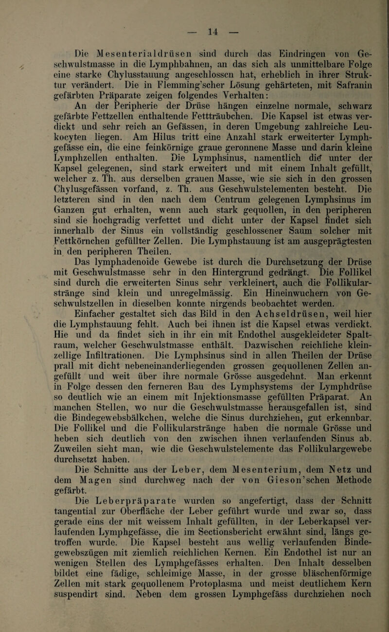 Die Mesenterialdrüsen sind durch das Eindringen von Ge- schwulstmasse in die Lymplibahnen, an das sich als unmittelbare Folge eine starke Chylusstauung angeschlosscn hat, erheblich in ihrer Struk¬ tur verändert. Die in Flemming’scher Lösung gehärteten, mit Safranin gefärbten Präparate zeigen folgendes Verhalten: An der Peripherie der Drüse hängen einzelne normale, schwarz gefärbte Fettzellen enthaltende Fettträubchen. Die Kapsel ist etwas ver¬ dickt und sehr reich an Gefässen, in deren Umgebung zahlreiche Leu- kocyten liegen. Am Hilus tritt eine Anzahl stark erweiterter Lymph- gefässe ein, die eine feinkörnige graue geronnene Masse und darin kleine Lymphzellen enthalten. Die Lymphsinus, namentlich did unter der Kapsel gelegenen, sind stark erweitert und mit einem Inhalt gefüllt, welcher z. Th. aus derselben grauen Masse, wie sie sich in den grossen Chylusgefässen vorfand, z. Th. aus Geschwulstelementen besteht. Die letzteren sind in den nach dem Centrum gelegenen Lymphsinus im Ganzen gut erhalten, wenn auch stark gequollen, in den peripheren sind sie hochgradig verfettet und dicht unter der Kapsel findet sich innerhalb der Sinus ein vollständig geschlossener Saum solcher mit Fettkörnchen gefüllter Zellen. Die Lymphstauung ist am ausgeprägtesten in den peripheren Theilen. Das lymphadenoide Gewebe ist durch die Durchsetzung der Drüse mit Geschwulstmasse sehr in den Hintergrund gedrängt. Die Follikel sind durch die erweiterten Sinus sehr verkleinert, auch die Follikular- stränge sind klein und unregelmässig. Ein Hineinwuchern von Ge¬ schwulstzellen in dieselben konnte nirgends beobachtet werden. Einfacher gestaltet sich das Bild in den Achseldrüsen, weil hier die Lymphstauung fehlt. Auch bei ihnen ist die Kapsel etwas verdickt. Hie und da findet sich in ihr ein mit Endothel ausgekleideter Spalt¬ raum, welcher Geschwulstmasse enthält. Dazwischen reichliche klein¬ zellige Infiltrationen. Die Lymphsinus sind in allen Theilen der Drüse prall mit dicht nebeneinanderliegenden grossen gequollenen Zellen an¬ gefüllt und weit über ihre normale Grösse ausgedehnt. Man erkennt in Folge dessen den ferneren Bau des Lymphsystems der Lymphdrüse so deutlich wie an einem mit Injektionsmasse gefüllten Präparat. An manchen Stellen, wo nur die Geschwulstmasse herausgefallen ist, sind die Bindegewebsbälkchen, welche die Sinus durchziehen, gut erkennbar. Die Follikel und die Follikularstränge haben die normale Grösse und heben sich deutlich von den zwischen ihnen verlaufenden Sinus ab. Zuweilen sieht man, wie die Geschwulstelemente das Follikulargewebe durchsetzt haben. Die Schnitte aus der Leber, dem Mesenterium, dem Netz und dem Magen sind durchweg nach der von Gieson’sehen Methode gefärbt. Die Leberpräparate wurden so angefertigt, dass der Schnitt tangential zur Oberfläche der Leber geführt wurde und zwar so, dass gerade eins der mit weissem Inhalt gefüllten, in der Leberkapsel ver¬ laufenden Lymphgefässe, die im Sectionsbericht erwähnt sind, längs ge¬ troffen wurde. Die Kapsel besteht aus wellig verlaufenden Binde- gewebszügen mit ziemlich reichlichen Kernen. Ein Endothel ist nur an wenigen Stellen des Lymphgefässes erhalten. Den Inhalt desselben bildet eine fädige, schleimige Masse, in der grosse bläschenförmige Zellen mit stark gequollenem Protoplasma und meist deutlichem Kern suspendirt sind. Neben dem grossen Lymphgefäss durchziehen noch