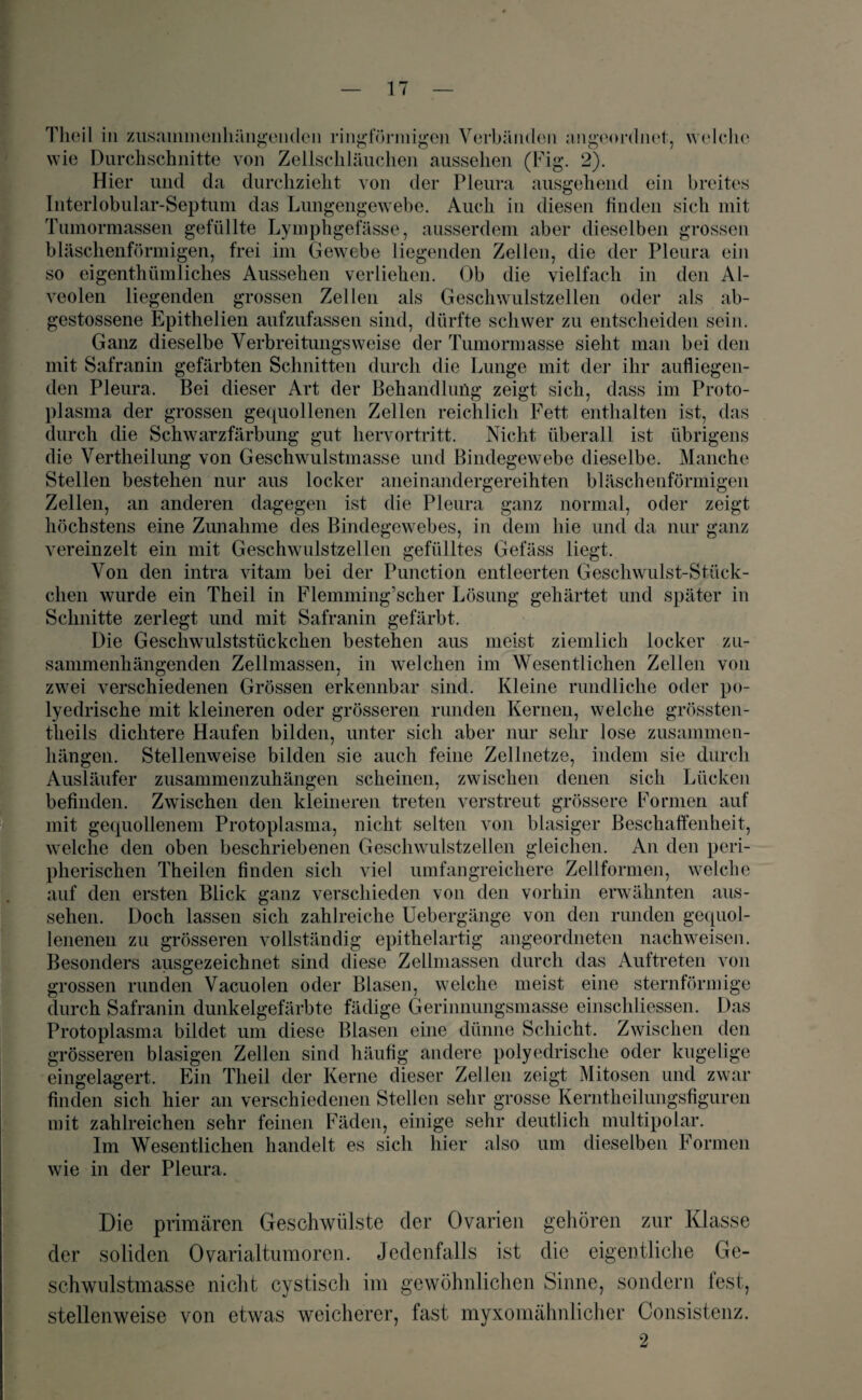 Theil in zusammenhängenden ringförmigen Verbänden ungeordnet, welche wie Durchschnitte von Zellschläuchen aussehen (Fig. 2). Hier und da durchzieht von der Pleura ausgehend ein breites Interlobular-Septum das Lungengewebe. Auch in diesen finden sich mit Tumormassen gefüllte Lymphgefässe, ausserdem aber dieselben grossen bläschenförmigen, frei im Gewebe liegenden Zellen, die der Pleura ein so eigenthümliches Aussehen verliehen. Ob die vielfach in den Al¬ veolen liegenden grossen Zellen als Geschwulstzellen oder als ab- gestossene Epithelien aufzufassen sind, dürfte schwer zu entscheiden sein. Ganz dieselbe Verbreitungsweise der Tumormasse sieht man bei den mit Safranin gefärbten Schnitten durch die Lunge mit der ihr aufliegen- den Pleura. Bei dieser Art der Behandlung zeigt sich, dass im Proto¬ plasma der grossen gequollenen Zellen reichlich Fett enthalten ist, das durch die Schwarzfärbung gut hervortritt. Nicht überall ist übrigens die Vertheilung von Geschwulstmasse und Bindegewebe dieselbe. Manche Stellen bestehen nur aus locker aneinandergereihten bläscheuförmigen Zellen, an anderen dagegen ist die Pleura ganz normal, oder zeigt höchstens eine Zunahme des Bindegewebes, in dem hie und da nur ganz vereinzelt ein mit Geschwulstzellen gefülltes Gefäss liegt. Von den intra vitam bei der Punction entleerten Geschwulst-Stück¬ chen wurde ein Theil in Flemming’scher Lösung gehärtet und später in Schnitte zerlegt und mit Safranin gefärbt. Die Geschwulststückchen bestehen aus meist ziemlich locker zu¬ sammenhängenden Zellmassen, in welchen im Wesentlichen Zellen von zwei verschiedenen Grössen erkennbar sind. Kleine rundliche oder po- lyedrische mit kleineren oder grösseren runden Kernen, welche grössten- theils dichtere Haufen bilden, unter sich aber nur sehr lose Zusammen¬ hängen. Stellenweise bilden sie auch feine Zellnetze, indem sie durch Ausläufer zusammenzuhängen scheinen, zwischen denen sich Lücken befinden. Zwischen den kleineren treten verstreut grössere Formen auf mit gequollenem Protoplasma, nicht selten von blasiger Beschaffenheit, welche den oben beschriebenen Geschwulstzellen gleichen. An den peri¬ pherischen Theilen finden sich viel umfangreichere Zellformen, welche auf den ersten Blick ganz verschieden von den vorhin erwähnten aus¬ sehen. Doch lassen sich zahlreiche Uebergänge von den runden gequol- lenenen zu grösseren vollständig epithelartig angeordneten nachweisen. Besonders ausgezeichnet sind diese Zellmassen durch das Auftreten von grossen runden Vacuolen oder Blasen, welche meist eine sternförmige durch Safranin dunkelgefärbte fädige Gerinnungsmasse einsehliessen. Das Protoplasma bildet um diese Blasen eine dünne Schicht. Zwischen den grösseren blasigen Zellen sind häufig andere polyedrisclie oder kugelige eingelagert. Ein Theil der Kerne dieser Zellen zeigt Mitosen und zwar finden sich hier an verschiedenen Stellen sehr grosse Kerntheilungsfiguren mit zahlreichen sehr feinen Fäden, einige sehr deutlich multipolar. Im Wesentlichen handelt es sich hier also um dieselben Formen wie in der Pleura. Die primären Geschwülste der Ovarien gehören zur Klasse der soliden Ovarialtumoren. Jedenfalls ist die eigentliche Ge¬ schwulstmasse nicht cystisch im gewöhnlichen Sinne, sondern fest, stellenweise von etwas weicherer, fast myxomähnlicher Consistenz. 2