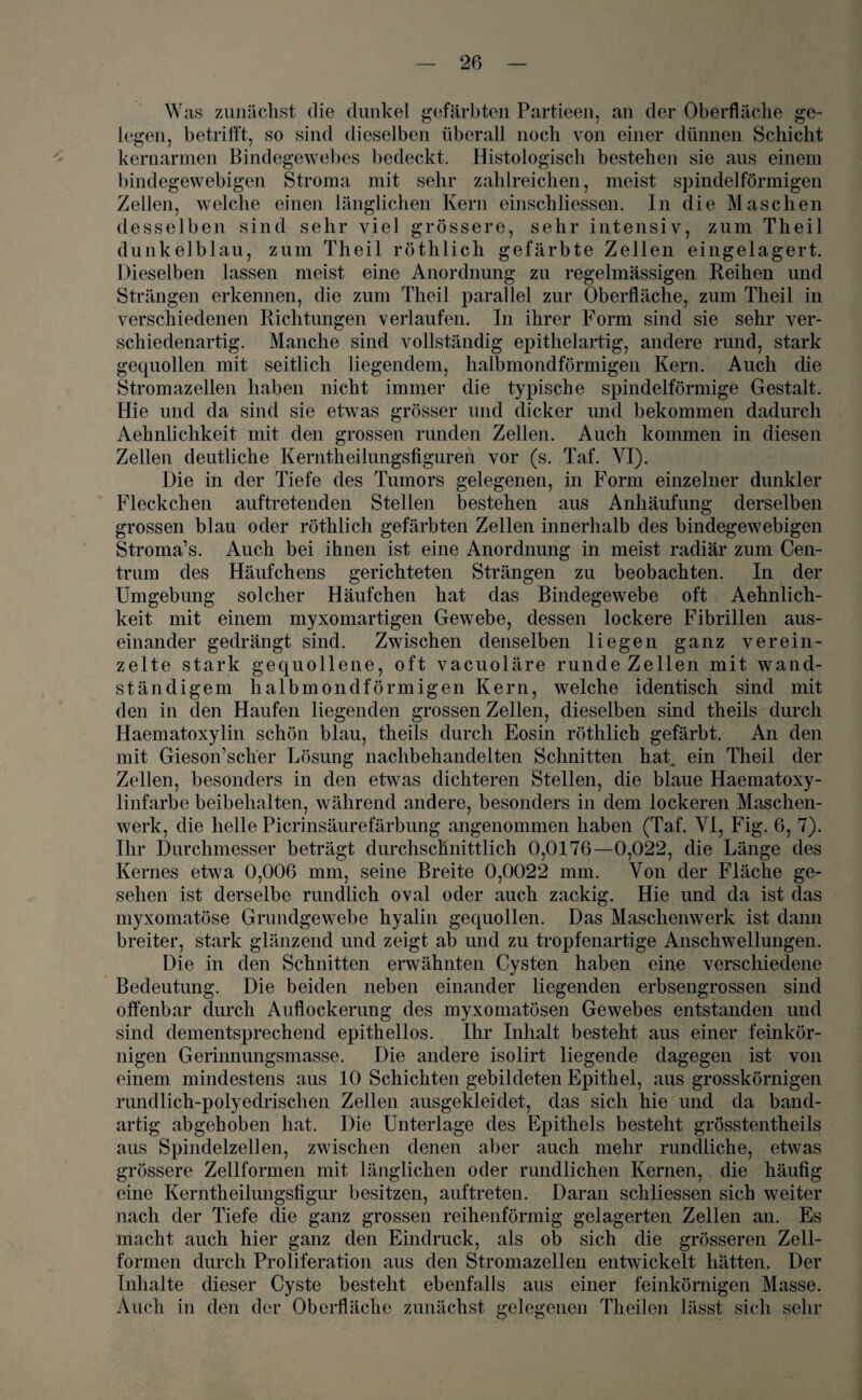 Was zunächst die dunkel gefärbten Partieeil, an der Oberfläche ge¬ legen, betrifft, so sind dieselben überall noch von einer dünnen Schicht kernarmen Bindegewebes bedeckt. Histologisch bestehen sie aus einem bindegewebigen Stroma mit sehr zahlreichen, meist spindelförmigen Zellen, welche einen länglichen Kern einschliessen. In die Maschen desselben sind sehr viel grössere, sehr intensiv, zum Theil dunkelblau, zum Theil röthlich gefärbte Zellen eingelagert. Dieselben lassen meist eine Anordnung zu regelmässigen Reihen und Strängen erkennen, die zum Theil parallel zur Oberfläche, zum Theil in verschiedenen Richtungen verlaufen. In ihrer Form sind sie sehr ver¬ schiedenartig. Manche sind vollständig epithelartig, andere rund, stark gequollen mit seitlich liegendem, halbmondförmigen Kern. Auch die Stromazellen haben nicht immer die typische spindelförmige Gestalt. Hie und da sind sie etwas grösser und dicker und bekommen dadurch Aehnlichkeit mit den grossen runden Zellen. Auch kommen in diesen Zellen deutliche Kerntheilungsfiguren vor (s. Taf. VI). Die in der Tiefe des Tumors gelegenen, in Form einzelner dunkler Fleckchen auftretenden Stellen bestehen aus Anhäufung derselben grossen blau oder röthlich gefärbten Zellen innerhalb des bindegewebigen Stroma’s. Auch bei ihnen ist eine Anordnung in meist radiär zum Cen¬ trum des Häufchens gerichteten Strängen zu beobachten. In der Umgebung solcher Häufchen hat das Bindegewebe oft Aehnlich¬ keit mit einem myxomartigen Gewebe, dessen lockere Fibrillen aus¬ einander gedrängt sind. Zwischen denselben liegen ganz verein¬ zelte stark gequollene, oft vacuoläre runde Zellen mit wand¬ ständigem halbmondförmigen Kern, welche identisch sind mit den in den Haufen liegenden grossen Zellen, dieselben sind theils durch Haematoxylin schön blau, theils durch Eosin röthlich gefärbt. An den mit Gieson’scher Lösung nachbehandelten Schnitten hat, ein Theil der Zellen, besonders in den etwas dichteren Stellen, die blaue Haematoxy- linfarbe beibehalten, während andere, besonders in dem lockeren Maschen¬ werk, die helle Picrinsäurefärbung angenommen haben (Taf. VI, Fig. 6, 7). Ihr Durchmesser beträgt durchschnittlich 0,0176—0,022, die Länge des Kernes etwa 0,006 mm, seine Breite 0,0022 mm. Von der Fläche ge¬ sehen ist derselbe rundlich oval oder auch zackig. Hie und da ist das myxomatöse Grundgewebe hyalin gequollen. Das Maschenwerk ist dann breiter, stark glänzend und zeigt ab und zu tropfenartige Anschwellungen. Die in den Schnitten erwähnten Cysten haben eine verschiedene Bedeutung. Die beiden neben einander liegenden erbsengrossen sind offenbar durch Auflockerung des myxomatösen Gewebes entstanden und sind dementsprechend epithellos. Ihr Inhalt besteht aus einer feinkör¬ nigen Gerinnungsmasse. Die andere isolirt liegende dagegen ist von einem mindestens aus 10 Schichten gebildeten Epithel, aus grosskörnigen rundlich-polyedrisclien Zellen ausgekleidet, das sich hie und da band¬ artig abgehoben hat. Die Unterlage des Epithels besteht grösstentheils aus Spindelzellen, zwischen denen aber auch mehr rundliche, etwas grössere Zellformen mit länglichen oder rundlichen Kernen, die häufig eine Kerntheilungsfigur besitzen, auftreten. Daran schliessen sich weiter nach der Tiefe die ganz grossen reihenförmig gelagerten Zellen an. Es macht auch hier ganz den Eindruck, als ob sich die grösseren Zell¬ formen durch Proliferation aus den Stromazellen entwickelt hätten. Der Inhalte dieser Cyste besteht ebenfalls aus einer feinkörnigen Masse. Auch in den der Oberfläche zunächst gelegenen Theilen lässt sich sehr