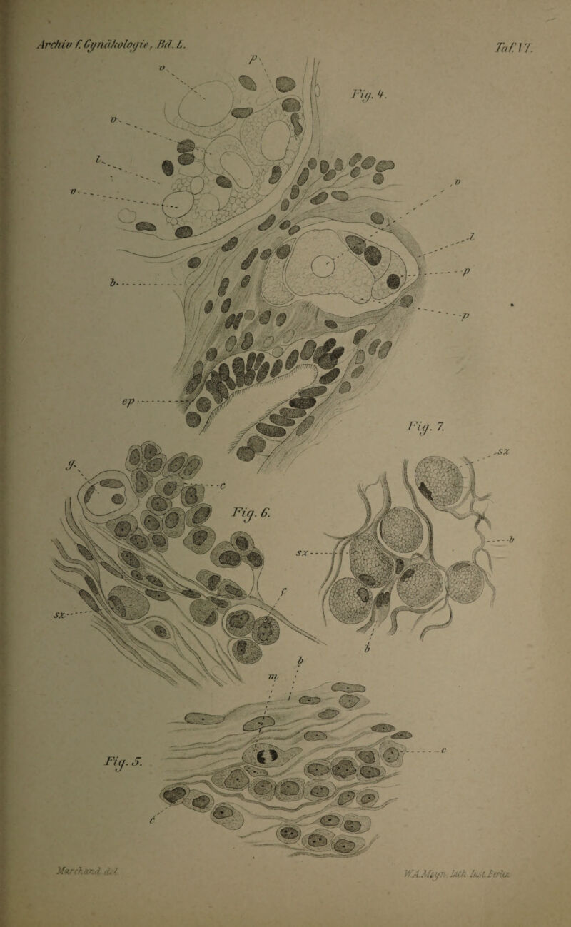 -c Fig. 6. sx- sz~ Marrtand cU 7 Fig. 7 WA.Mii/::. Lüh InsLlertui ,sx