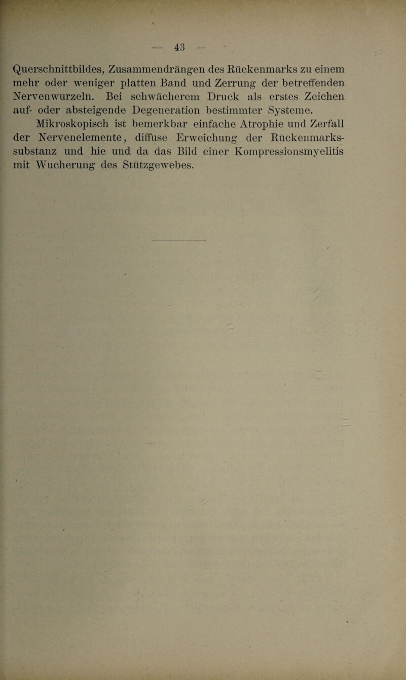 Querschnittbildes, Zusammendrängen des Rückenmarks zu einem mehr oder weniger platten Band und Zerrung der betreffenden Nerven wurzeln. Bei schwächerem Druck als erstes Zeichen auf- oder absteigende Degeneration bestimmter Systeme. Mikroskopisch ist bemerkbar einfache Atrophie und Zerfall der Nervenelemente, diffuse Erweichung der Rückenmarks¬ substanz und hie und da das Bild einer Kompressionsmyelitis mit Wucherung des Stützgewebes.