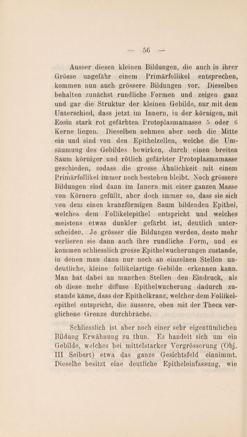 Ausser diesen kleinen Bildungen, die auch in ihrer Grösse ungefähr einem Primärfollikel entsprechen, kommen nun auch grössere Bildungen vor. Dieselben behalten zunächst rundliche Formen und zeigen ganz und gar die Struktur der kleinen Gebilde, nur mit dem Unterschied, dass jetzt im Innern, in der körnigen, mit Eosin stark rot gefärbten Protoplasmamasse 5 oder G Kerne liegen. Dieselben nehmen aber noch die Mitte ein und sind von den Epithelzellen, welche die Um¬ säumung des Gebildes bewirken, durch einen breiten Saum körniger und rötlich gefärbter Protoplasmamasse geschieden, sodass die grosse Ähnlichkeit mit einem Primärfollikel immer noch bestehen bleibt. Noch grössere Bildungen sind dann im Innern mit einer ganzen Masse von Körnern gefüllt, aber doch immer so, dass sie sich von dem einen kranzförmigen Saum bildenden Epithel, welches dem Follikelepithel entspricht und welches meistens etwas dunkler gefärbt ist, deutlich unter¬ scheiden. Je grösser die Bildungen werden, desto mehr verlieren sie dann auch ihre rundliche Form, und es kommen schliesslich grosse Epithel Wucherungen zustande, in denen man dann nur noch an einzelnen Stellen un¬ deutliche, kleine follikelartige Gebilde erkennen kann. Man hat dabei an manchen Stellen den Eindruck, als ob diese mehr diffuse Epithelwucherung dadurch zu¬ stande käme, dass der Epithelkranz, welcher dem Follikel¬ epithel entspricht, die äussere, oben mit der Theca ver¬ glichene Grenze durchbräche. Schliesslich ist aber noch einer sehr eigentümlichen Bildung Erwähnung zu thun. Es handelt sich um ein Gebilde, welches bei mittelstarker Vergrösserung (Obj. III Seibert) etwa das ganze Gesichtsfeld einnimmt, Dieselhe besitzt eine deutliche Epitheleinfassung, wie