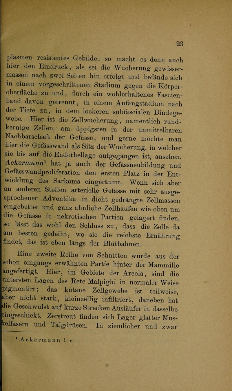 plasmen resistentes Gebilde; so macht es denn auch hier den Eindruck, als sei die Wucherung gewisser- massen nach zwei Seiten hin erfolgt und befände sich in einem vorgeschrittenen Stadium gegen die Körper¬ oberfläche zu und, durch ein wohlerhaltenes Fascien- band davon getrennt, in einem Anfangstadium nach der Tiefe zu, in dem lockeren subfascialen Bindege¬ webe. Hier ist die Zell Wucherung, namentlich rund- kernige Zellen, am üppigsten in der unmittelbaren Nachbarschaft der Gefässe, und gerne möchte man hiei die Gefässwand a,ls Sitz der Wucherung, in welcher sie bis auf die Endothellage aufgegangen ist, ansehen. Ackermann1 hat ja auch der Gefässneubildung und Gefässwandproiiferation den ersten Platz in der Ent¬ wicklung des Sarkoms eingeräumt. Wenn sich aber an anderen Stellen arterielle Gefässe mit sehr ausge¬ sprochener Adventitia in dicht gedrängte Zellmassen eingebettet und ganz ähnliche Zellhaufen wie oben um die Gefässe in nekrotischen Partien gelagert finden, so lässt das wohl den Schluss zu, dass die Zelle da am besten gedeiht, wo sie die reichste Ernährung findet, das ist eben längs der Blutbahnen. Eine zweite Reihe von Schnitten wurde aus der schon eingangs erwähnten Partie hinter der Mammille angefertigt. Hier, im Gebiete der Areola, sind die untersten Lagen des Rete Malpighi in normaler Weise pigmentirt, das kutane Zellgewebe ist teilweise, aber nicht stark, kleinzellig infiltriert, daneben hat die Geschwulst auf kurze Strecken Ausläufer in dasselbe eingeschickt. Zerstreut finden sich Lager glatter Mus¬ kelfasern und Talgdrüsen. In ziemlicher und zwar 1 Ackermann 1. c.