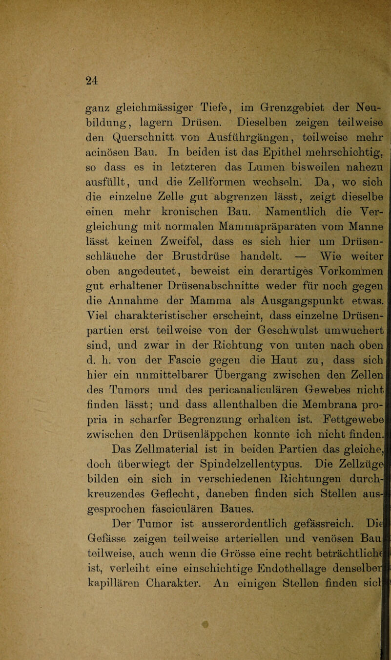 ganz gleichmässiger Tiefe, im Grenzgebiet der Neu¬ bildung, lagern Drüsen. Dieselben zeigen teilweise den Querschnitt von Ausführgängen, teilweise mehr acinösen Bau. In beiden ist das Epithel mehrschichtig, so dass es in letzteren das Lumen bisweilen nahezu ausfüllt, und die Zellformen wechseln. Da, wo sich die einzelne Zelle gut abgrenzen lässt, zeigt dieselbe mehr kronischen Bau. Namentlich die Ver¬ einen gleichung mit normalen Mammapräparaten vom Manne lässt keinen Zweifel, dass es sich hier um Drüsen¬ schläuche der Brustdrüse handelt. — Wie weiter oben angedeutet, beweist ein derartiges Vorkommen gut erhaltener Drüsenabschnitte weder für noch gegen die Annahme der Mamma als Ausgangspunkt etwas. Viel charakteristischer erscheint, dass einzelne Drüsen¬ partien erst teilweise von der Geschwulst umwuchert sind, und zwar in der Richtung von unten nach oben d. h. von der Fascie gegen die Haut zu, dass sich hier ein unmittelbarer Übergang zwischen den Zellen des Tumors und des pericanaliculären Gewebes nicht finden lässt; und dass allenthalben die Membrana pro- pria in scharfer Begrenzung erhalten ist. Fettgewebej zwischen den Drüsenläppchen konnte ich nicht finden.! Das Zellmaterial ist in beiden Partien das gleiche, doch überwiegt der Spindelzellentypus. Die Zellzügei bilden ein sich in verschiedenen Richtungen durch¬ kreuzendes Geflecht, daneben finden sich Stellen aus-j gesprochen fasciculären Baues. Der Tumor ist ausserordentlich gefässreich. Die| Gefässe zeigen teilweise arteriellen und venösen Bau, teilweise, auch wenn die Grösse eine recht beträchtlich^ ist, verleiht eine einschichtige Endothellage denselben kapillären Charakter. An einigen Stellen finden siel