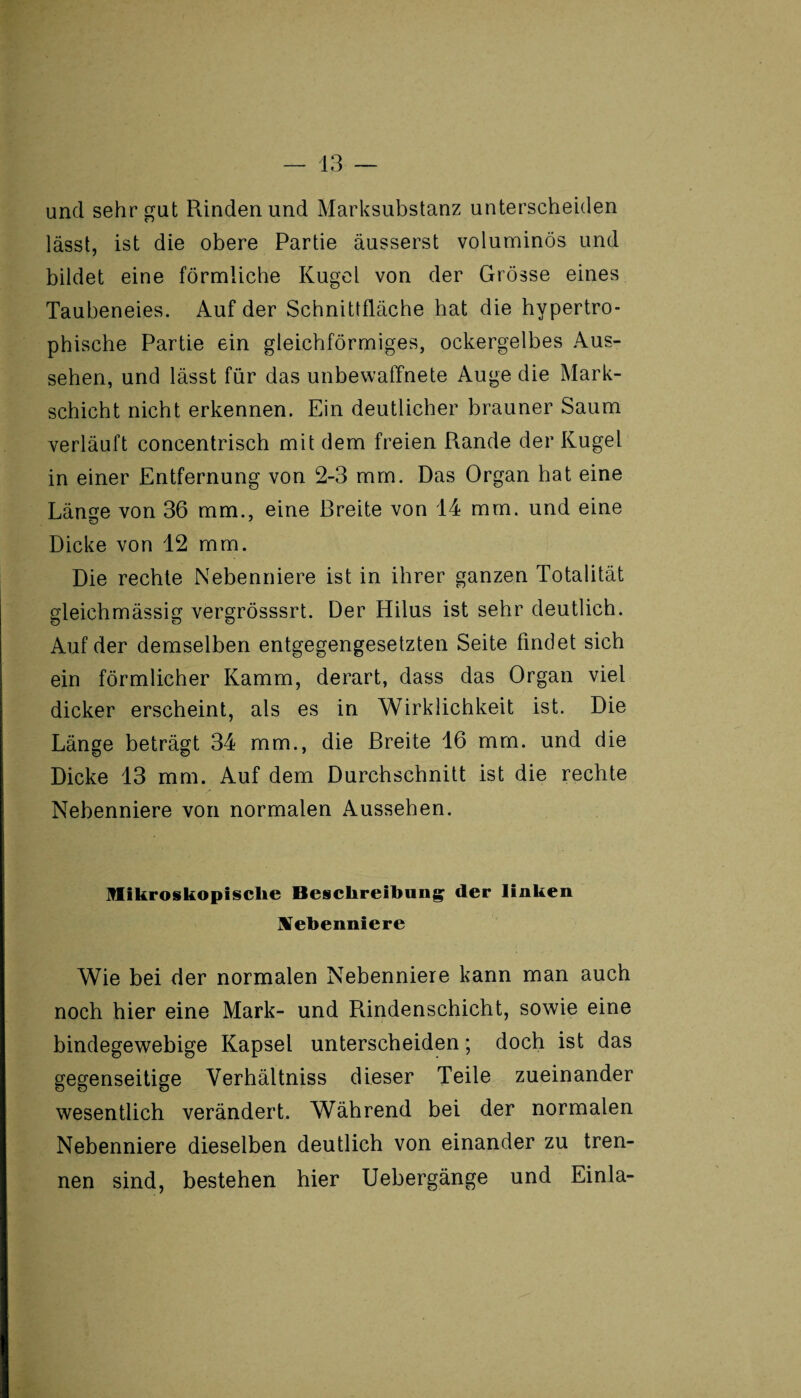 und sehr gut Rinden und Marksubstanz unterscheiden lässt, ist die obere Partie äusserst voluminös und bildet eine förmliche Kugel von der Grösse eines Taubeneies. Auf der Schnittfläche hat die hypertro¬ phische Partie ein gleichförmiges, ockergelbes Aus¬ sehen, und lässt für das unbewaffnete Auge die Mark¬ schicht nicht erkennen. Ein deutlicher brauner Saum verläuft concentrisch mit dem freien Rande der Kugel in einer Entfernung von 2-3 mm. Das Organ hat eine Länge von 36 mm., eine Breite von 14 mm. und eine Dicke von 12 mm. Die rechte Nebenniere ist in ihrer ganzen Totalität gleichmässig vergrösssrt. Der ITilus ist sehr deutlich. Auf der demselben entgegengesetzten Seite findet sich ein förmlicher Kamm, derart, dass das Organ viel dicker erscheint, als es in Wirklichkeit ist. Die Länge beträgt 34 mm., die Breite 16 mm. und die Dicke 13 mm. Auf dem Durchschnitt ist die rechte Nebenniere von normalen Aussehen. Mikroskopische Beschreibung der linken Ufehenniere Wie bei der normalen Nebenniere kann man auch noch hier eine Mark- und Rindenschicht, sowie eine bindegewebige Kapsel unterscheiden; doch ist das gegenseitige Yerhältniss dieser Teile zueinander wesentlich verändert. Während bei der normalen Nebenniere dieselben deutlich von einander zu tren¬ nen sind, bestehen hier Uebergänge und Einla-