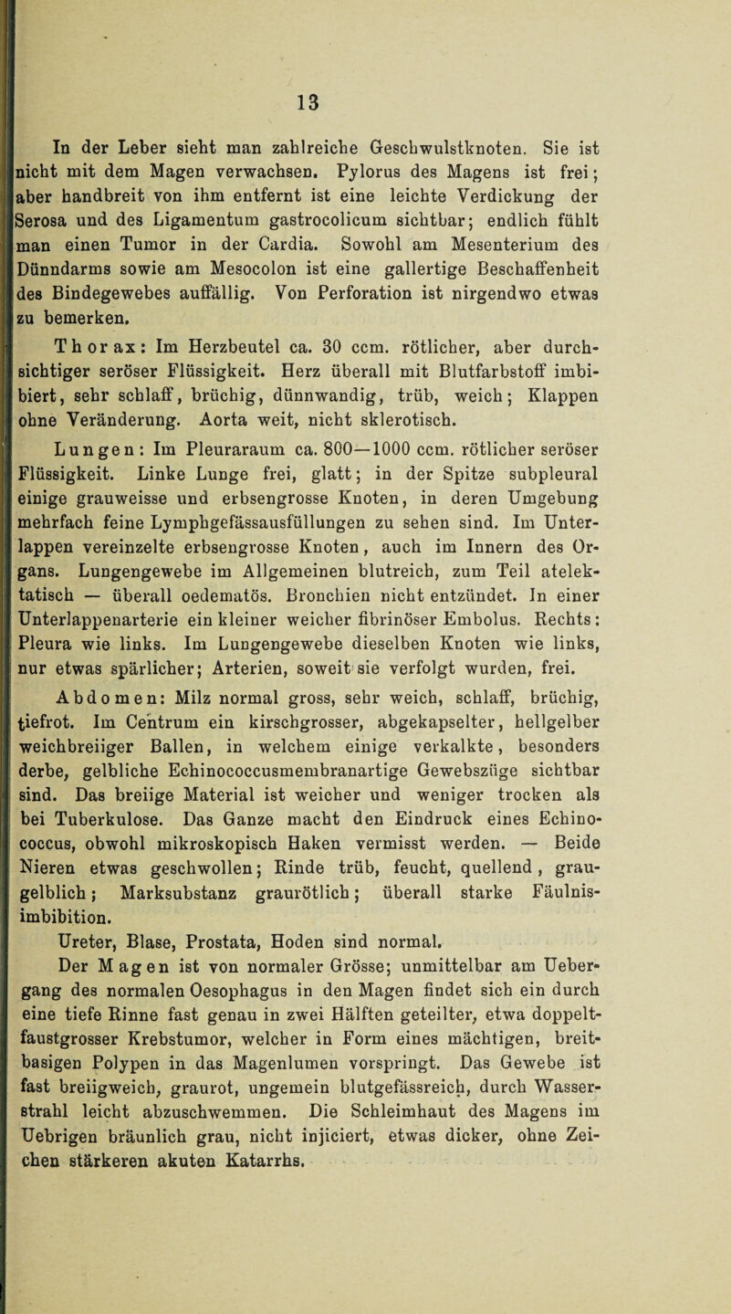 In der Leber sieht man zahlreiche Geschwulstknoten. Sie ist nicht mit dem Magen verwachsen. Pylorus des Magens ist frei; aber handbreit von ihm entfernt ist eine leichte Verdickung der Serosa und des Ligamentum gastrocolicum sichtbar; endlich fühlt man einen Tumor in der Cardia. Sowohl am Mesenterium des Dünndarms sowie am Mesocolon ist eine gallertige Beschaffenheit des Bindegewebes auffällig. Von Perforation ist nirgendwo etwas zu bemerken, Thorax: Im Herzbeutel ca. 30 ccm. rötlicher, aber durch¬ sichtiger seröser Flüssigkeit. Herz überall mit Blutfarbstoff imbi- biert, sehr schlaff, brüchig, dünnwandig, trüb, weich; Klappen ohne Veränderung. Aorta weit, nicht sklerotisch. Lungen: Im Pleuraraum ca. 800—1000 ccm. rötlicher seröser Flüssigkeit. Linke Lunge frei, glatt; in der Spitze subpleural einige grauweisse und erbsengrosse Knoten, in deren Umgebung mehrfach feine Lymphgefässausfüllungen zu sehen sind. Im Unter¬ lappen vereinzelte erbsengrosse Knoten, auch im Innern des Or¬ gans. Lungengewebe im Allgemeinen blutreich, zum Teil atelek- tatisch — überall oedematös. Bronchien nicht entzündet. In einer Unterlappenarterie ein kleiner weicher fibrinöser Embolus. Rechts: Pleura wie links. Im Lungengewebe dieselben Knoten wie links, nur etwas spärlicher; Arterien, soweit sie verfolgt wurden, frei. Abdomen: Milz normal gross, sehr weich, schlaff, brüchig, tiefrot. Im Centrum ein kirschgrosser, abgekapselter, hellgelber weichbreiiger Ballen, in welchem einige verkalkte, besonders derbe, gelbliche Echinococcusmembranartige Gewebszüge sichtbar sind. Das breiige Material ist weicher und weniger trocken als bei Tuberkulose. Das Ganze macht den Eindruck eines Echino¬ coccus, obwohl mikroskopisch Haken vermisst werden. — Beide Nieren etwas geschwollen; Rinde trüb, feucht, quellend, grau¬ gelblich ; Marksubstanz graurötlich; überall starke Fäulnis¬ imbibition. Ureter, Blase, Prostata, Hoden sind normal. Der Magen ist von normaler Grösse; unmittelbar am Ueber« gang des normalen Oesophagus in den Magen findet sich ein durch eine tiefe Rinne fast genau in zwei Hälften geteilter, etwa doppelt¬ faustgrosser Krebstumor, welcher in Form eines mächtigen, breit¬ basigen Polypen in das Magenlumen vorspringt. Das Gewebe ist fast breiigweich, graurot, ungemein blutgefässreich, durch Wasser¬ strahl leicht abzuschwemmen. Die Schleimhaut des Magens im Uebrigen bräunlich grau, nicht injiciert, etwas dicker, ohne Zei¬ chen stärkeren akuten Katarrhs.