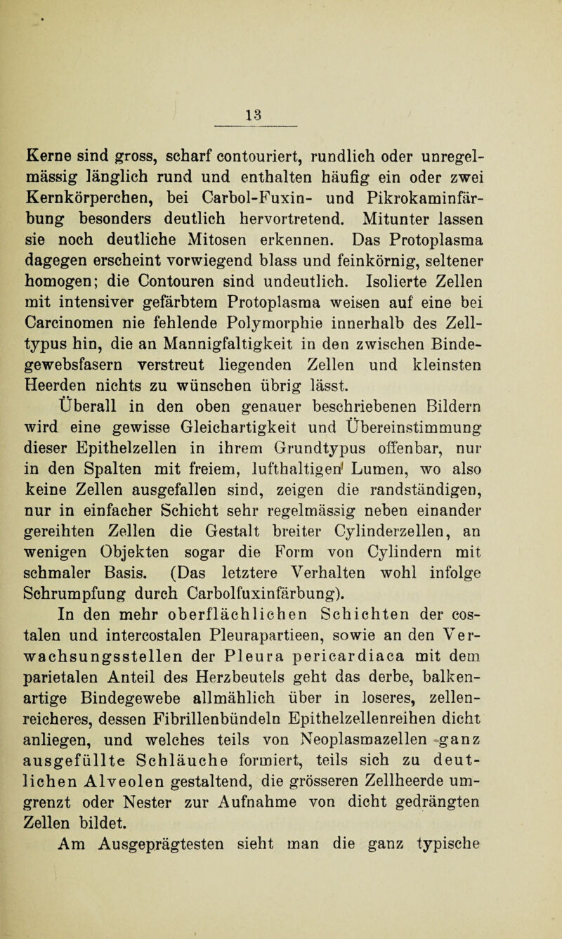 Kerne sind gross, scharf contouriert, rundlich oder unregel¬ mässig länglich rund und enthalten häufig ein oder zwei Kernkörperchen, bei Carbol-Fuxin- und Pikrokaminfär- bung besonders deutlich hervortretend. Mitunter lassen sie noch deutliche Mitosen erkennen. Das Protoplasma dagegen erscheint vorwiegend blass und feinkörnig, seltener homogen; die Contouren sind undeutlich. Isolierte Zellen mit intensiver gefärbtem Protoplasma weisen auf eine bei Carcinomen nie fehlende Polymorphie innerhalb des Zell¬ typus hin, die an Mannigfaltigkeit in den zwischen Binde¬ gewebsfasern verstreut liegenden Zellen und kleinsten Heerden nichts zu wünschen übrig lässt. • • Überall in den oben genauer beschriebenen Bildern wird eine gewisse Gleichartigkeit und Übereinstimmung dieser Epithelzellen in ihrem Grundtypus offenbar, nur in den Spalten mit freiem, lufthaltigen1 Lumen, wo also keine Zellen ausgefallen sind, zeigen die randständigen, nur in einfacher Schicht sehr regelmässig neben einander gereihten Zellen die Gestalt breiter Cylinderzellen, an wenigen Objekten sogar die Form von Cylindern mit schmaler Basis. (Das letztere Verhalten wohl infolge Schrumpfung durch Carbolfuxinfärbung). In den mehr oberflächlichen Schichten der cos- talen und intercostalen Pleurapartieen, sowie an den Ver¬ wachsungsstellen der Pleura pericardiaca mit dem parietalen Anteil des Herzbeutels geht das derbe, balken¬ artige Bindegewebe allmählich über in loseres, zellen¬ reicheres, dessen Fibrillenbündeln Epithelzellenreihen dicht anliegen, und welches teils von Neoplasmazellen ganz ausgefüllte Schläuche formiert, teils sich zu deut¬ lichen Alveolen gestaltend, die grösseren Zellheerde um¬ grenzt oder Nester zur Aufnahme von dicht gedrängten Zellen bildet. Am Ausgeprägtesten sieht man die ganz typische