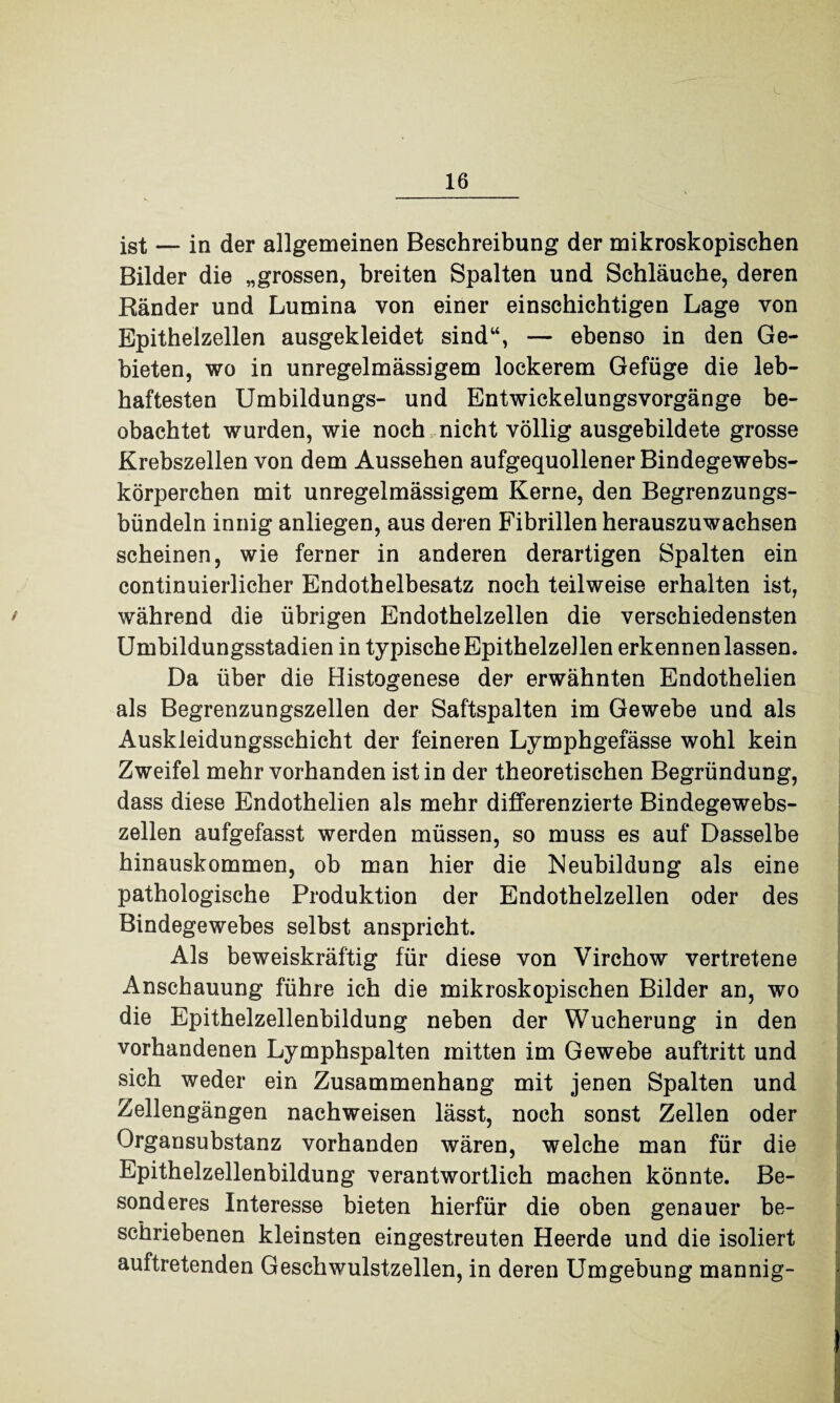 ist — in der allgemeinen Beschreibung der mikroskopischen Bilder die „grossen, breiten Spalten und Schläuche, deren Ränder und Lumina von einer einschichtigen Lage von Epithelzellen ausgekleidet sind“, — ebenso in den Ge¬ bieten, wo in unregelmässigem lockerem Gefüge die leb¬ haftesten Umbildungs- und Entwickelungsvorgänge be¬ obachtet wurden, wie noch nicht völlig ausgebildete grosse Krebszellen von dem Aussehen aufgequollener Bindegewebs- körperchen mit unregelmässigem Kerne, den Begrenzungs¬ bündeln innig anliegen, aus deren Fibrillen herauszuwachsen scheinen, wie ferner in anderen derartigen Spalten ein continuierlicher Endothelbesatz noch teilweise erhalten ist, ' während die übrigen Endothelzellen die verschiedensten Umbildungsstadien in typische Epithelzellen erkennen lassen. Da über die Histogenese der erwähnten Endothelien als Begrenzungszellen der Saftspalten im Gewebe und als Auskleidungsschicht der feineren Lymphgefässe wohl kein Zweifel mehr vorhanden ist in der theoretischen Begründung, dass diese Endothelien als mehr differenzierte Bindegewebs¬ zellen aufgefasst werden müssen, so muss es auf Dasselbe hinauskommen, ob man hier die Neubildung als eine pathologische Produktion der Endothelzellen oder des Bindegewebes selbst anspricht. Als beweiskräftig für diese von Virchow vertretene Anschauung führe ich die mikroskopischen Bilder an, wo die Epithelzellenbildung neben der Wucherung in den vorhandenen Lymphspalten mitten im Gewebe auftritt und sich weder ein Zusammenhang mit jenen Spalten und Zellengängen nachweisen lässt, noch sonst Zellen oder Organsubstanz vorhanden wären, welche man für die Epithelzellenbildung verantwortlich machen könnte. Be¬ sonderes Interesse bieten hierfür die oben genauer be¬ schriebenen kleinsten eingestreuten Heerde und die isoliert auftretenden Geschwulstzellen, in deren Umgebung mannig-