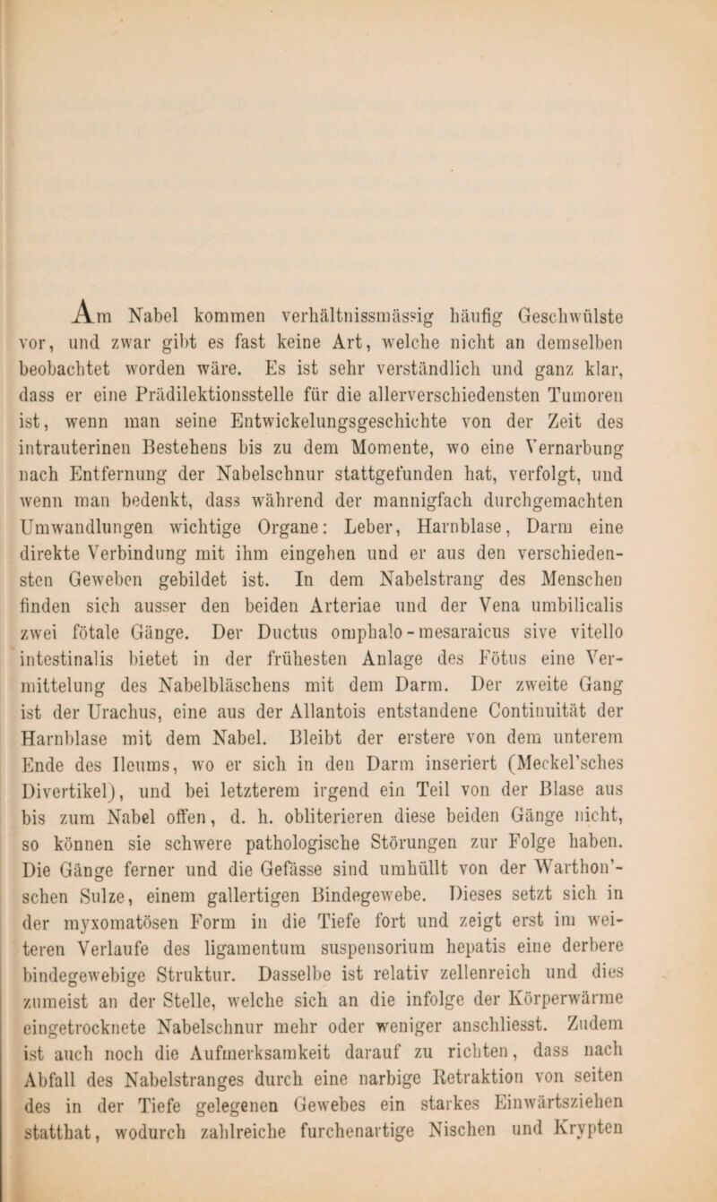 iVm Nabel kommen verhältnissmässig häufig Geschwülste vor, und zwar gibt es fast keine Art, welche nicht an demselben beobachtet worden wäre. Es ist sehr verständlich und ganz klar, dass er eine Prädilektionsstelle für die allerverschiedensten Tumoren ist, wenn man seine Entwickelungsgeschichte von der Zeit des intrauterinen Bestehens bis zu dem Momente, wo eine Vernarbung nach Entfernung der Nabelschnur stattgefunden hat, verfolgt, und wenn man bedenkt, dass während der mannigfach durchgemachten Umwandlungen wichtige Organe: Leber, Harnblase, Darm eine direkte Verbindung mit ihm eingehen und er aus den verschieden¬ sten Geweben gebildet ist. In dem Nabelstrang des Menschen finden sich ausser den beiden Arteriae und der Vena umbilicalis zwei fötale Gänge. Der Ductus omphalo - mesaraicus sive vitello intestinalis bietet in der frühesten Anlage des Fötus eine Ver¬ mittelung des Nabelbläschens mit dem Darm. Der zweite Gang ist der Urachus, eine aus der Allantois entstandene Continuität der Harnblase mit dem Nabel. Bleibt der erstere von dem unterem Ende des Ileums, wo er sich in den Darm inseriert (Meckel’sches Divertikel), und bei letzterem irgend ein Teil von der Blase aus bis zum Nabel offen, d. h. obliterieren diese beiden Gänge nicht, so können sie schwere pathologische Störungen zur Folge haben. Die Gänge ferner und die Gefässe sind umhüllt von der Warthon’- schen Sülze, einem gallertigen Bindegewebe. Dieses setzt sich in der myxomatösen Form in die Tiefe fort und zeigt erst im wei¬ teren Verlaufe des ligamentum Suspensorium hepatis eine derbere bindegewebige Struktur. Dasselbe ist relativ zellenreich und dies zumeist an der Stelle, welche sich an die infolge der Körperwärme eingetrocknete Nabelschnur mehr oder weniger anschliesst. Zudem ist auch noch die Aufmerksamkeit darauf zu richten, dass nach Abfall des Nabelstranges durch eine narbige Retraktion von seiten des in der Tiefe gelegenen Gewebes ein starkes Einwärtsziehen statthat, wodurch zahlreiche furchenartige Nischen und Krypten