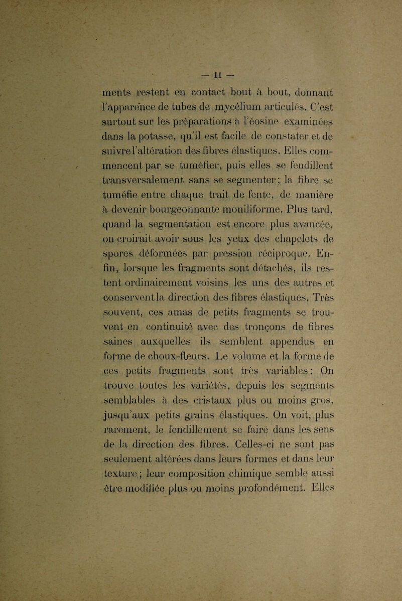 mente restent en contact bout à bout, donnant b apparence de tubes de mycélium articulés. C’est surtout sur les préparations à l’éosine examinées dans la potasse, qu’il est facile de constater et de suivre T altération des fibres élastiques. Elles com¬ mencent par se tuméfier, puis elles se fendillent transversalement sans se segmenter ; la fibre se tuméfie entre chaque trait de fente, de manière à devenir bourgeonnante moniliforme. Plus tard, quand la segmentation est encore plus avancée, on croirait avoir sous les yeux des chapelets de spores déformées par pression réciproque. En¬ fin, lorsque les fragments sont détachés, ils res¬ tent ordinairement voisins les uns des autres et conservent la direction des fibres élastiques, Très souvent, ces amas de petits fragmente se trou¬ vent en continuité avec des tronçons de fibres saines auxquelles ils semblent appendus en forme de choux-fleurs. Le volume et la forme de ces petits fragments sont très variables : On trouve toutes les variétés, depuis les segments semblables à des cristaux plus ou moins gros, jusqu’aux petits grains élastiques. On voit, plus rarement, le fendillement se faire dans les sens de la direction des fibres. Celles-ci ne sont pas seulement altérées dans leurs formes et dans leur texture ; leur composition chimique semble aussi être modifiée plus ou moins profondément. Elles