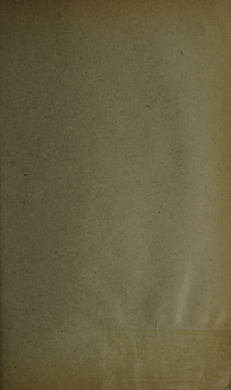 y ' C. A V >* / y xk ■ ’ Av- • / v * ' ■ ■ ?r ■iiiimiin i ■ ■.■';-fe *^C-v • .’Vi y VV- v.r. - tj . * .• i» *• . . A V •• ,• -Isâ ***« '*-+{■ ’ ■ \; *• î , t V Ma*. IAomé