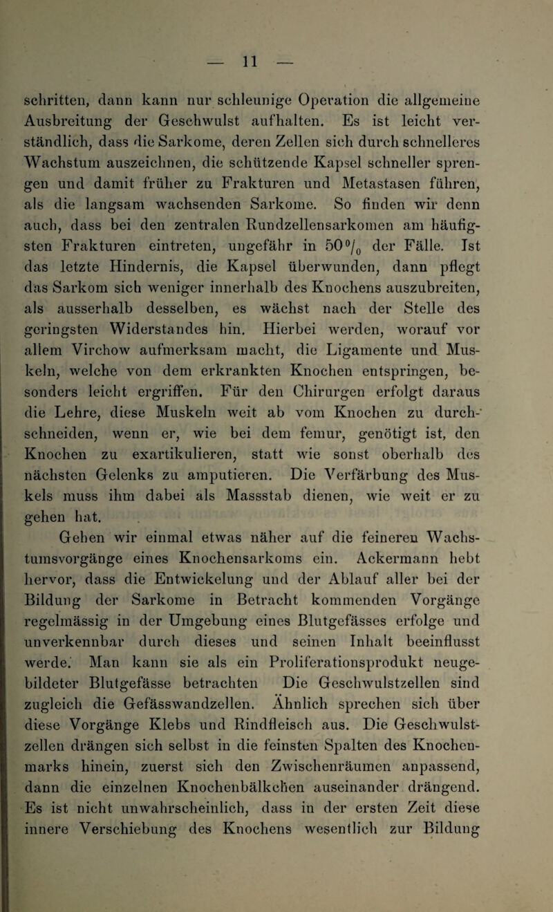 schritten, dann kann nur schleunige Operation die allgemeine Ausbreitung der Geschwulst aufhalten. Es ist leicht ver¬ ständlich, dass die Sarkome, deren Zellen sich durch schnelleres Wachstum auszeichnen, die schützende Kapsel schneller spren¬ gen und damit früher zu Frakturen und Metastasen führen, als die langsam wachsenden Sarkome. So finden wir denn auch, dass bei den zentralen Rundzellensarkomen am häufig¬ sten Frakturen eintreten, ungefähr in 50 °/0 der Fälle. Ist das letzte Hindernis, die Kapsel überwunden, dann pflegt das Sarkom sich weniger innerhalb des Knochens auszubreiten, als ausserhalb desselben, es wächst nach der Stelle des geringsten Widerstandes hin. Hierbei werden, worauf vor allem Virchow aufmerksam macht, die Ligamente und Mus¬ keln, welche von dem erkrankten Knochen entspringen, be¬ sonders leicht ergriffen. Für den Chirurgen erfolgt daraus die Lehre, diese Muskeln weit ab vom Knochen zu durch- schneiden, wenn er, wie bei dem femur, genötigt ist, den Knochen zu exartikulieren, statt wie sonst oberhalb des nächsten Gelenks zu amputieren. Die Verfärbung des Mus¬ kels muss ihm dabei als Massstab dienen, wie weit er zu gehen hat. Gehen wir einmal etwas näher auf die feineren Wachs¬ tumsvorgänge eines Knochensarkoms ein. Ackermann hebt hervor, dass die Entwickelung und der Ablauf aller bei der Bildung der Sarkome in Betracht kommenden Vorgänge regelmässig in der Umgebung eines Blutgefässes erfolge und unverkennbar durch dieses und seinen Inhalt beeinflusst werde. Man kann sie als ein Proliferationsprodukt neuge¬ bildeter Blutgefässe betrachten Die Geschwulstzellen sind • • zugleich die Gefässwandzellen. Ähnlich sprechen sich über diese Vorgänge Klebs und Rindfleisch aus. Die Geschwulst¬ zellen drängen sich selbst in die feinsten Spalten des Knochen¬ marks hinein, zuerst sich den Zwischenräumen anpassend, dann die einzelnen Knochenbälkclien auseinander drängend. Es ist nicht unwahrscheinlich, dass in der ersten Zeit diese innere Verschiebung des Knochens wesentlich zur Bildung