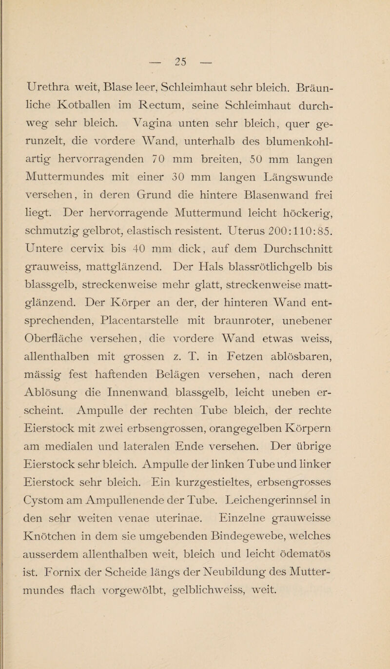 Urethra weit, Blase leer, Schleimhaut sehr bleich. Bräun¬ liche Kotballen im Rectum, seine Schleimhaut durch¬ weg' sehr bleich. Vagina unten sehr bleich, quer ge¬ runzelt, die vordere Wand, unterhalb des blumenkohl¬ artig hervorragenden 70 mm breiten, 50 mm langen Muttermundes mit einer 30 mm langen Längswunde versehen, in deren Grund die hintere Blasenwand frei liegt. Der hervorragende Muttermund leicht höckerig, schmutzig gelbrot; elastisch resistent. Uterus 200:110:85. Untere cervix bis 40 mm dick, auf dem Durchschnitt grauweiss, mattglänzend. Der Hals blassrötlichgelb bis blassgelb, streckenweise mehr glatt, streckenweise matt¬ glänzend. Der Körper an der, der hinteren Wand ent¬ sprechenden, Placentarstelle mit braunroter, unebener Oberfläche versehen, die vordere Wand etwas weiss, allenthalben mit grossen z. T. in Fetzen ablösbaren, mässig fest haftenden Belägen versehen, nach deren Ablösung die Innenwand blassgelb, leicht uneben er¬ scheint. Ampulle der rechten Tube bleich, der rechte Eierstock mit zwei erbsengrossen, orangegelben Körpern am medialen und lateralen Ende versehen. Der übrige Eierstock sehr bleich. Ampulle der linken Tube und linker Eierstock sehr bleich. Ein kurzgestieltes, erbsengrosses Cystom am Am pullen ende der Tube. Leichengerinnsel in den sehr weiten venae uterinae. Einzelne grauweisse Knötchen in dem sie umgebenden Bindegewebe, welches ausserdem allenthalben weit, bleich und leicht ödematös ist. Fornix der Scheide längs der Neubildung des Mutter¬ mundes flach vorgewölbt, gelblichweiss, wreit.