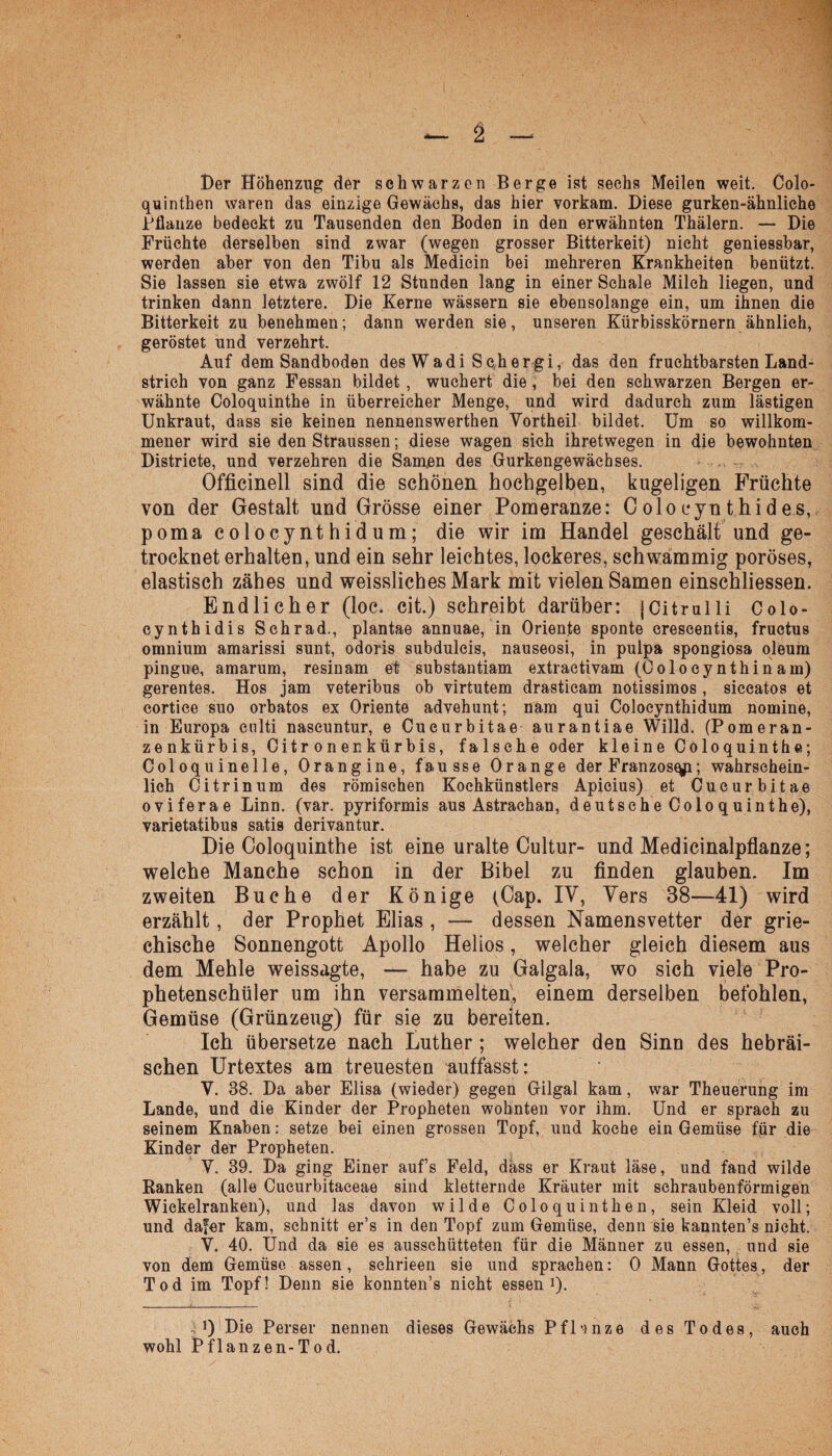 t>er Höhenzug der schwarzen Berge ist sechs Meilen weit. Colo- quinthen waren das einzige Gewächs, das hier vorkam. Diese gurken-ähnliche Pflanze bedeckt zu Tausenden den Boden in den erwähnten Thälern. — Die Früchte derselben sind zwar (wegen grosser Bitterkeit) nicht geniessbar, werden aber von den Tibu als Medicin bei mehreren Krankheiten benützt. Sie lassen sie etwa zwölf 12 Stnnden lang in einer Schale Milch liegen, und trinken dann letztere. Die Kerne wässern sie ebensolange ein, um ihnen die Bitterkeit zu benehmen; dann werden sie, unseren Kürbisskörnern ähnlich, geröstet und verzehrt. Auf dem Sandboden des Wadi Sch er gi, das den fruchtbarsten Land¬ strich von ganz Fessan bildet , wuchert die, bei den schwarzen Bergen er¬ wähnte Coloquinthe in überreicher Menge, und wird dadurch zum lästigen Unkraut, dass sie keinen nennenswerthen Vortheil bildet. Um so willkom¬ mener wird sie den Straussen; diese wagen sich ihretwegen in die bewohnten Districte, und verzehren die Samen des Gurkengewächses. Officinell sind die schönen hochgelben, kugeligen Früchte von der Gestalt und Grösse einer Pomeranze: Coloeynthides, poma colocynthidum; die wir im Handel geschält und ge¬ trocknet erhalten, und ein sehr leichtes, lockeres, schwammig poröses, elastisch zähes und weisslichesMark mit vielen Samen einschliessen. Endlicher (loc. cit.) schreibt darüber: jCitrulli Colo- cynthidis Schrad., plantae annuae, in Oriente sponte crescentis, fructus omnium amarissi sunt, odoris subdulcis, nauseosi, in pulpa spongiosa oleum pingue, amarum, resinam et substantiam extractivam (Colocynthinam) gerentes. Hos jam veteribus ob virtutem drasticam notissimos, siecatos et cortice suo orbatos ex Oriente advehunt; nam qui Colocynthidum nomine, in Europa enlti naseuntur, e Cucurbitae aurantiae Willd. (Pomeran¬ zenkürbis, Citronenkürbis, falsche oder kleine Coloquinthe; Coloquinelle, Orangine, fausse Orange der Franzosqp; wahrschein¬ lich Citrinum des römischen Kochkünstlers Apicius) et Cucurbitae oviferae Linn. (var. pyriformis aus Astrachan, deutsche Coloquinthe), varietatibus satis derivantur. Die Coloquinthe ist eine uralte Cultur- und Medicinalpflanze; welche Manche schon in der Bibel zu finden glauben. Im zweiten Buche der Könige (Cap. IV, Vers 38—41) wird erzählt, der Prophet Elias , — dessen Namensvetter der grie¬ chische Sonnengott Apollo Helios, welcher gleich diesem aus dem Mehle weissagte, — habe zu Galgala, wo sich viele Pro¬ phetenschüler um ihn versammelten, einem derselben befohlen, Gemüse (Grünzeug) für sie zu bereiten. Ich übersetze nach Luther; welcher den Sinn des hebräi¬ schen LTrtextes am treuesten auffasst: V. 38. Da aber Elisa (wieder) gegen Gilgal kam, war Theuerung im Lande, und die Kinder der Propheten wohnten vor ihm. Und er sprach zu seinem Knaben: setze bei einen grossen Topf, und koche ein Gemüse für die Kinder der Propheten. V. 39. Da ging Einer aufs Feld, dass er Kraut läse, und fand wilde Ranken (alle Cueurbitaceae sind kletternde Kräuter mit schraubenförmigen Wiekeiranken), und las davon wilde Coloquinthen, sein Kleid voll; und dafer kam, schnitt er’s in den Topf zum Gemüse, denn sie kannten’s nicht. V. 40. Und da sie es ausschütteten für die Männer zu essen, und sie von dem Gemüse assen, schrieen sie und sprachen: 0 Mann Gottes, der Tod im Topf! Denn sie konnten’s nicht essen1). U Die Perser nennen dieses Gewächs Pflanze des Todes, auch wohl Pflanzen-Tod.