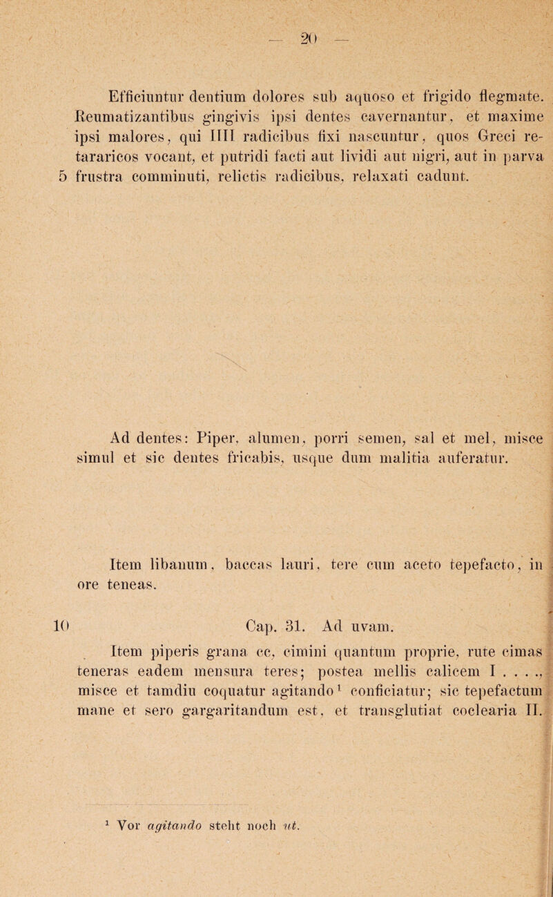 Efficiuntur cientium dolores sub aquoso et frigido flegmate. Reumatizantibus gingivis ipsi dentes cavernantur, et maxime ipsi maiores, qui 1111 radicibus fixi nascuntur, quos Greci re- tararicos vocant, et putridi facti aut lividi aut nigri, aut in parva 5 frustra comminuti, relictis radicibus, relaxati cadunt. x4d dentes: Piper, alumen, porri semen, sal et mei, misce simul et sic dentes fricabis, usque dum malitia auferatur. Item libanum, baccas lauri, tere cum aceto tepefacto, in ore teneas. 10 Cap. 31. Ad uvam. Item piperis grana cc, cimini quantum proprie, rute cimas teneras eadem mensura teres; postea mellis calicem I. misce et tamdiu coquatur agitando1 conficiatur; sic tepefactum mane et sero gargaritandum est, et transglutiat coclearia II. 1 Vor agitando stelit noch ut.