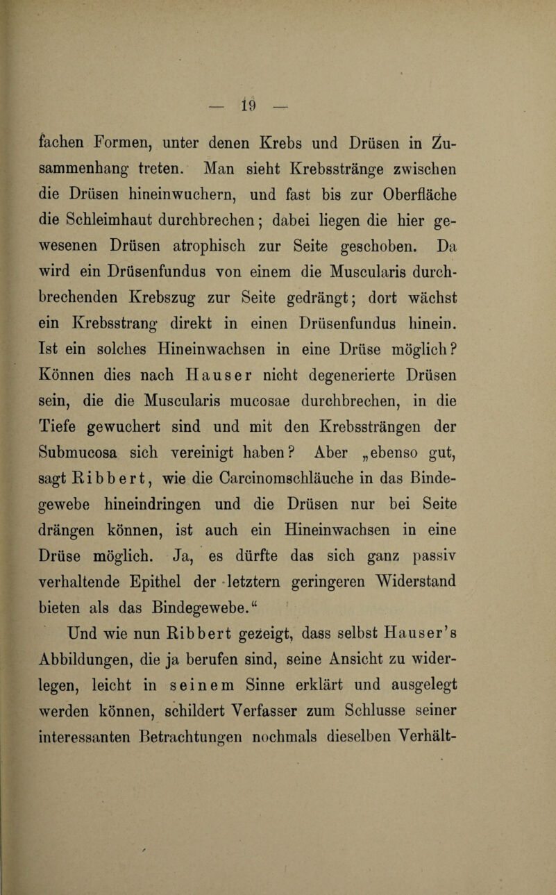 fachen Formen, unter denen Krebs und Drüsen in Zu¬ sammenhang treten. Man sieht Krebsstränge zwischen die Drüsen hineinwuchern, und fast bis zur Oberfläche die Schleimhaut durchbrechen; dabei liegen die hier ge¬ wesenen Drüsen atrophisch zur Seite geschoben. Da wird ein Drüsenfundus von einem die Muscularis durch¬ brechenden Krebszug zur Seite gedrängt; dort wächst ein Krebsstrang direkt in einen Drüsenfundus hinein. Ist ein solches Hineinwachsen in eine Drüse möglich? Können dies nach Hauser nicht degenerierte Drüsen sein, die die Muscularis mucosae durchbrechen, in die Tiefe gewuchert sind und mit den Krebssträngen der Submucosa sich vereinigt haben? Aber „ebenso gut, sagt R i b b e r t, wie die Carcinomschläuche in das Binde¬ gewebe hineindringen und die Drüsen nur bei Seite drängen können, ist auch ein Hinein wachsen in eine Drüse möglich. Ja, es dürfte das sich ganz passiv verhaltende Epithel der letztem geringeren Widerstand bieten als das Bindegewebe.“ Und wie nun Ribbert gezeigt, dass selbst Hauser’s Abbildungen, die ja berufen sind, seine Ansicht zu wider¬ legen, leicht in seinem Sinne erklärt und ausgelegt werden können, schildert Verfasser zum Schlüsse seiner interessanten Betrachtungen nochmals dieselben Verhält- /