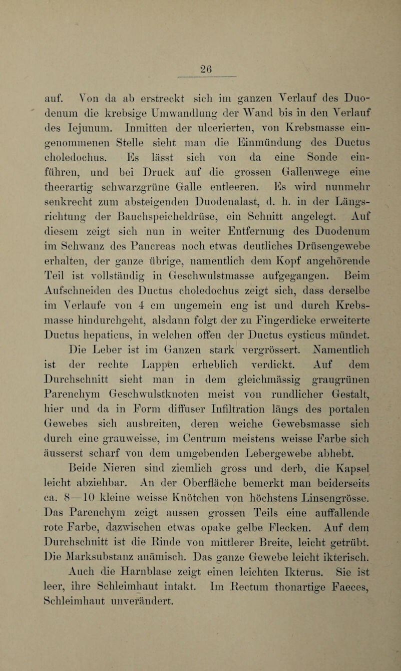 auf. Von da ab erstreckt sich im ganzen Verlauf des Duo- o denum die krebsige Umwandlung der Wand bis in den Verlauf des Iejunum. Inmitten der ulcerierten, von Krebsmasse ein¬ genommenen Stelle sieht man die Einmündung des Ductus choledochus. Es lässt sich von da eine Sonde ein¬ führen, und bei Druck auf die grossen Gallenwege eine theerartig schwarzgrüne Galle entleeren. Es wird nunmehr senkrecht zum absteigenden Duodenalast, d. h. in der Längs¬ richtung der Bauchspeicheldrüse, ein Schnitt angelegt. Auf diesem zeigt sich nun in weiter Entfernung des Duodenum im Schwanz des Pancreas noch etwas deutliches Drüsengewebe erhalten, der ganze übrige, namentlich dem Kopf angehörende Teil ist vollständig in Geschwulstmasse aufgegangen. Beim Aufschneiden des Ductus choledochus zeigt sich, dass derselbe im Verlaufe von 4 cm ungemein eng ist und durch Krebs¬ masse hindurchgeht, alsdann folgt der zu Fingerdicke erweiterte Ductus hepaticus, in welchen offen der Ductus cysticus mündet. Die Leber ist im Ganzen stark vergrössert. Namentlich ist der rechte Lappen erheblich verdickt. Auf dem Durchschnitt sieht man in dem gleichmässig graugrünen Parenchym Geschwulstknoten meist von rundlicher Gestalt, liier und da in Form diffuser Infiltration längs des portalen Gewebes sich ausbreiten, deren weiche Gewebsmasse sich durch eine grauweisse, im Centrum meistens weisse Farbe sich äusserst scharf von dem umgebenden Lebergewebe abhebt. Beide Nieren sind ziemlich gross und derb, die Kapsel leicht abziehbar. An der Oberfläche bemerkt man beiderseits ca. 8—10 kleine weisse Knötchen von höchstens Linsengrösse. Das Parenchym zeigt aussen grossen Teils eine auffallende rote Farbe, dazwischen etwas opake gelbe Flecken. Auf dem Durchschnitt ist die Binde von mittlerer Breite, leicht getrübt. Die Marksubstanz anämisch. Das ganze Gewebe leicht ikterisch. Auch die Harnblase zeigt einen leichten Ikterus. Sie ist leer, ihre Schleimhaut intakt. Im Rectum thonartige Faeces, Schleimhaut unverändert.