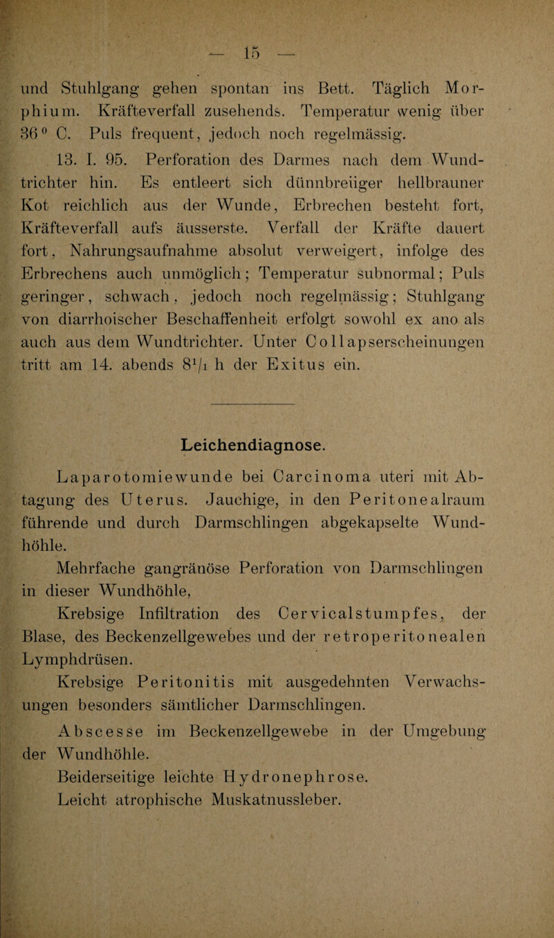 und Stuhlgang gehen spontan ins Bett. Täglich Mor¬ phium. Kräfte verfall zusehends. Temperatur wenig über 36° C. Puls frequent, jedoch noch regelmässig. 13. I. 95. Perforation des Darmes nach dem Wund¬ trichter hin. Es entleert sich dünnbreiiger hellbrauner Kot reichlich aus der Wunde, Erbrechen besteht fort, Kräfteverfall aufs äusserste. Verfall der Kräfte dauert fort, Nahrungsaufnahme absolut verweigert, infolge des Erbrechens auch unmöglich; Temperatur subnormal; Puls geringer, schwach, jedoch noch regelmässig; Stuhlgang von diarrhoischer Beschaffenheit erfolgt sowohl ex ano als auch aus dem Wundtrichter. Unter Co 11 apserscheinungen tritt am 14. abends 81/! h der Exitus ein. Leichendiagnose. Laparotomiewunde bei Carcinoma uteri mit Ab¬ tagung des Uterus. Jauchige, in den Peritonealraum führende und durch Darmschlingen abgekapselte Wund¬ höhle. Mehrfache gangränöse Perforation von Darmschlingen in dieser Wundhöhle, Krebsige Infiltration des Cervicalstumpfes, der Blase, des Beckenzellgewebes und der retroperitonealen Lymphdrüsen. Krebsige Peritonitis mit ausgedehnten Verwachs¬ ungen besonders sämtlicher Darmschlingen. Ab sc esse im Beckenzellgewebe in der Umgebung der Wundhöhle. Beiderseitige leichte Hydronephrose. Leicht atrophische Muskatnussleber.