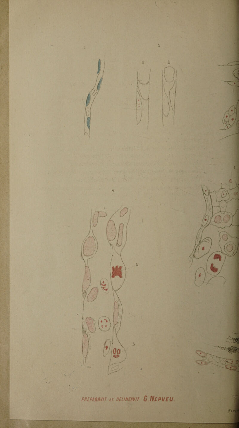 PffEPmm a DEL!NEW!T GNlPVEU.