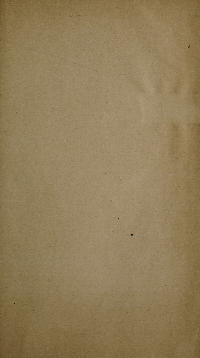 ■'» - V', / * X. €% ' * --1, ..