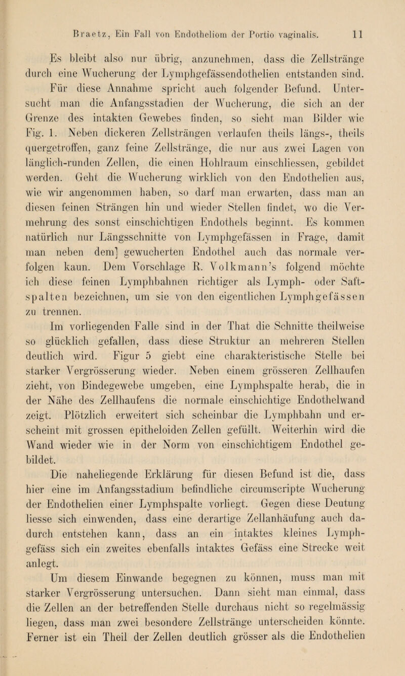 Es bleibt also nur übrig, anzunehmen, dass die Zellstränge durch eine Wucherung der Lymphgefässendothelien entstanden sind. Für diese Annahme spricht auch folgender Befund. Unter¬ sucht man die Anfangsstadien der Wucherung, die sich an der Grenze des intakten Gewebes finden, so sieht man Bilder wie Fig. 1. Neben dickeren Zellsträngen verlaufen theils längs-, theils quergetroffen, ganz feine Zellstränge, die nur aus zwei Lagen von länglich-runden Zellen, die einen Hohlraum einschliessen, gebildet werden. Geht die Wucherung wirklich von den Endothelien aus, wie wir angenommen haben, so darf man erwarten, dass man an diesen feinen Strängen hin und wieder Stellen findet, wo die Ver¬ mehrung des sonst einschichtigen Endothels beginnt. Es kommen natürlich nur Längsschnitte von Lymphgefässen in Frage, damit man neben dem] gewucherten Endothel auch das normale ver¬ folgen kaun. Dem Vorschläge R. Volkmann’s folgend möchte ich diese feinen Lymphbahnen richtiger als Lymph- oder Saft¬ spalten bezeichnen, um sie von den eigentlichen Lymphgefässen zu trennen. Im vorliegenden Falle sind in der That die Schnitte theilweise so glücklich gefallen, dass diese Struktur an mehreren Stellen deutlich wird. Figur 5 giebt eine charakteristische Stelle bei starker Vergrösserung wieder. Neben einem grösseren Zellhaufen zieht, von Bindegewebe umgeben, eine Lymphspalte herab, die in der Nähe des Zellhaufens die normale einschichtige Endothelwand zeigt. Plötzlich erweitert sich scheinbar die Lymphbahn und er¬ scheint mit grossen epitheloiden Zellen gefüllt. Weiterhin wird die Wand wieder wie in der Norm von einschichtigem Endothel ge¬ bildet. Die naheliegende Erklärung für diesen Befund ist die, dass hier eine im Anfangsstadium befindliche circumscripte Wucherung der Endothelien einer Lymphspalte vorliegt. Gegen diese Deutung Hesse sich einwenden, dass eine derartige Zellanhäufung auch da¬ durch entstehen kann, dass an ein intaktes kleines Lymph- gefäss sich ein zweites ebenfalls intaktes Gefäss eine Strecke weit anlegt. Um diesem Einwande begegnen zu können, muss man mit starker Vergrösserung untersuchen. Dann sieht man einmal, dass die Zellen an der betreffenden Stelle durchaus nicht so regelmässig liegen, dass man zwei besondere Zellstränge unterscheiden könnte. Ferner ist ein Theil der Zellen deutlich grösser als die Endothelien