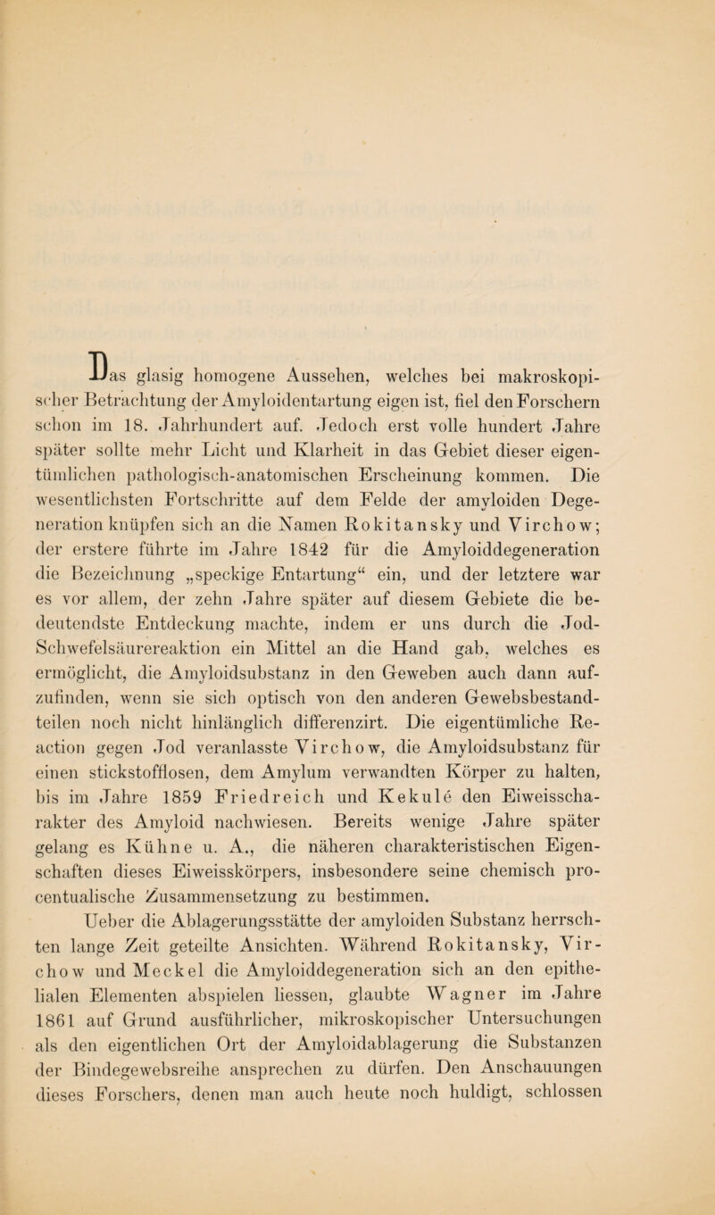 JJas glasig homogene Aussehen, welches bei makroskopi¬ scher Betrachtung der Amyloidentartung eigen ist, fiel den Forschern schon im 18. Jahrhundert auf. Jedoch erst volle hundert Jahre später sollte mehr Licht und Klarheit in das Gebiet dieser eigen¬ tümlichen pathologisch-anatomischen Erscheinung kommen. Die wesentlichsten Fortschritte auf dem Felde der amyloiden Dege¬ neration knüpfen sich an die Kamen Rokitansky und Virchow; der erstere führte im Jahre 1842 für die Amyloiddegeneration die Bezeichnung „speckige Entartung“ ein, und der letztere war es vor allem, der zehn Jahre später auf diesem Gebiete die be¬ deutendste Entdeckung machte, indem er uns durch die Jod- Schwefelsäurereaktion ein Mittel an die Hand gab, welches es ermöglicht, die Amyloidsubstanz in den Geweben auch dann auf¬ zufinden, wenn sie sich optisch von den anderen Gewebsbestand- teilen noch nicht hinlänglich differenzirt. Die eigentümliche Re- action gegen Jod veranlasste Virchow, die Amyloidsubstanz für einen stickstofflosen, dem Amylum verwandten Körper zu halten, bis im Jahre 1859 Fried reich und Kekule den Eiweisscha¬ rakter des Amyloid nach wiesen. Bereits wenige Jahre später gelang es Kühne u. A., die näheren charakteristischen Eigen¬ schaften dieses Eiweisskörpers, insbesondere seine chemisch pro- centualische Zusammensetzung zu bestimmen. Ueber die Ablagerungsstätte der amyloiden Substanz herrsch¬ ten lange Zeit geteilte Ansichten. Während Rokitansky, Vir¬ chow und Meckel die Amyloiddegeneration sich an den epithe¬ lialen Elementen abspielen liessen, glaubte Wagner im Jahre 1861 auf Grund ausführlicher, mikroskopischer Untersuchungen als den eigentlichen Ort der Amyloidablagerung die Substanzen der Bindegewebsreihe ansprechen zu dürfen. Den Anschauungen dieses Forschers, denen man auch heute noch huldigt, schlossen