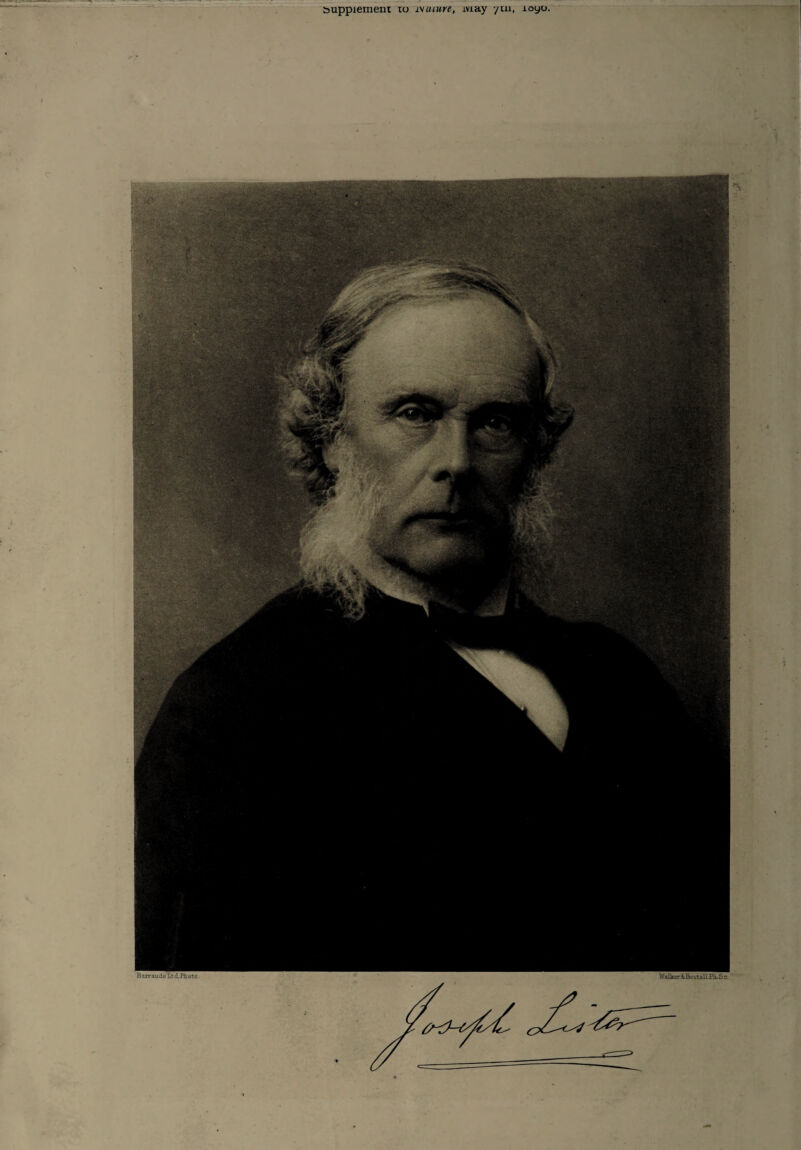 supplement to i\ inure, may yui, loyo,