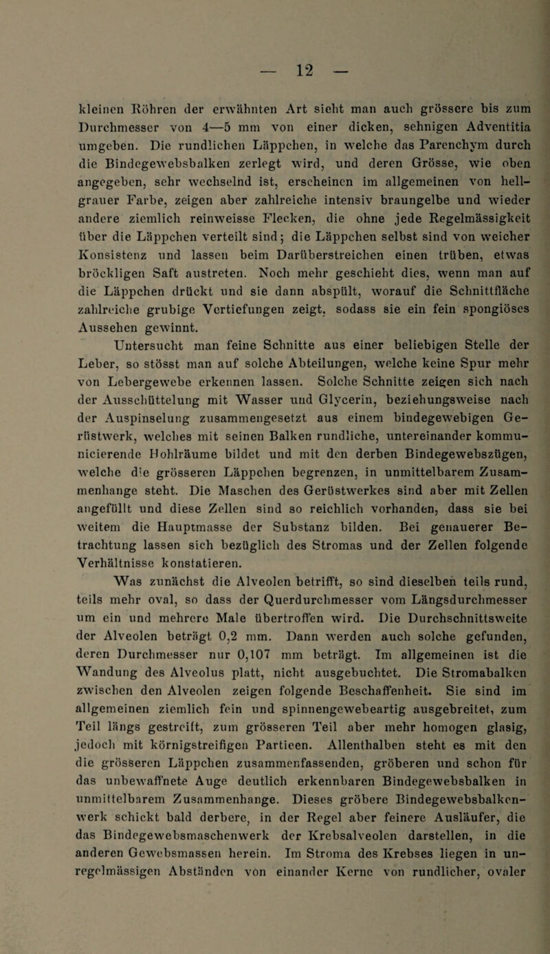 kleinen Köhren der erwähnten Art sieht man auch grössere bis zum Durchmesser von 4—5 mm von einer dicken, sehnigen Adventitia umgeben. Die rundlichen Läppchen, in welche das Parenchym durch die Bindcgewebsbalken zerlegt wird, und deren Grösse, wie oben angegeben, sehr wechselnd ist, erscheinen im allgemeinen von hell¬ grauer Farbe, zeigen aber zahlreiche intensiv braungelbe und wieder andere ziemlich reinweisse Flecken, die ohne jede Regelmässigkeit über die Läppchen verteilt sind; die Läppchen selbst sind von weicher Konsistenz und lassen beim Dariiberstreichen einen trüben, etwas bröckligen Saft austreten. Noch mehr geschieht dies, wenn man auf die Läppchen drückt und sie dann abspült, worauf die Schnittfläche zahlreiche grubige Vertiefungen zeigt, sodass sie ein fein spongiöses Aussehen gewinnt. Untersucht man feine Schnitte aus einer beliebigen Stelle der Leber, so stösst man auf solche Abteilungen, welche keine Spur mehr von Lebergewebe erkennen lassen. Solche Schnitte zeigen sich nach der Ausschüttelung mit Wasser und Glycerin, beziehungsweise nach der Auspinselung zusammengesetzt aus einem bindegewebigen Ge¬ rüstwerk, welches mit seinen Balken rundliche, untereinander kommu- nicierende Hohlräume bildet und mit den derben Bindegewebszügen, welche die grösseren Läppchen begrenzen, in unmittelbarem Zusam¬ menhänge steht. Die Maschen des Gerüstwerkes sind aber mit Zellen angefüllt und diese Zellen sind so reichlich vorhanden, dass sie bei weitem die Hauptmasse der Substanz bilden. Bei genauerer Be¬ trachtung lassen sich bezüglich des Stromas und der Zellen folgende Verhältnisse konstatieren. Was zunächst die Alveolen betrifft, so sind dieselben teils rund, teils mehr oval, so dass der Querdurchmesser vom Längsdurchmesser um ein und mehrere Male übertroffen wird. Die Durchschnittsweite der Alveolen beträgt 0,2 mm. Dann werden auch solche gefunden, deren Durchmesser nur 0,107 mm beträgt. Im allgemeinen ist die Wandung des Alveolus platt, nicht ausgebuchtet. Die Stromabalken zwischen den Alveolen zeigen folgende Beschaffenheit. Sie sind im allgemeinen ziemlich fein und spinnengewebeartig ausgebreitet, zum Teil längs gestreift, zum grösseren Teil aber mehr homogen glasig, jedoch mit körnigstreifigen Partieen. Allenthalben steht es mit den die grösseren Läppchen zusammenfassenden, gröberen und schon für das unbewaffnete Auge deutlich erkennbaren Bindegewebsbalken in unmittelbarem Zusammenhänge. Dieses gröbere Bindegewebsbalken- werk schickt bald derbere, in der Regel aber feinere Ausläufer, die das Bindegewebsmaschenwerk der Krebsalveolen darstellen, in die anderen Gcwebsmassen herein. Im Stroma des Krebses liegen in un¬ regelmässigen Abständen von einander Kerne von rundlicher, ovaler