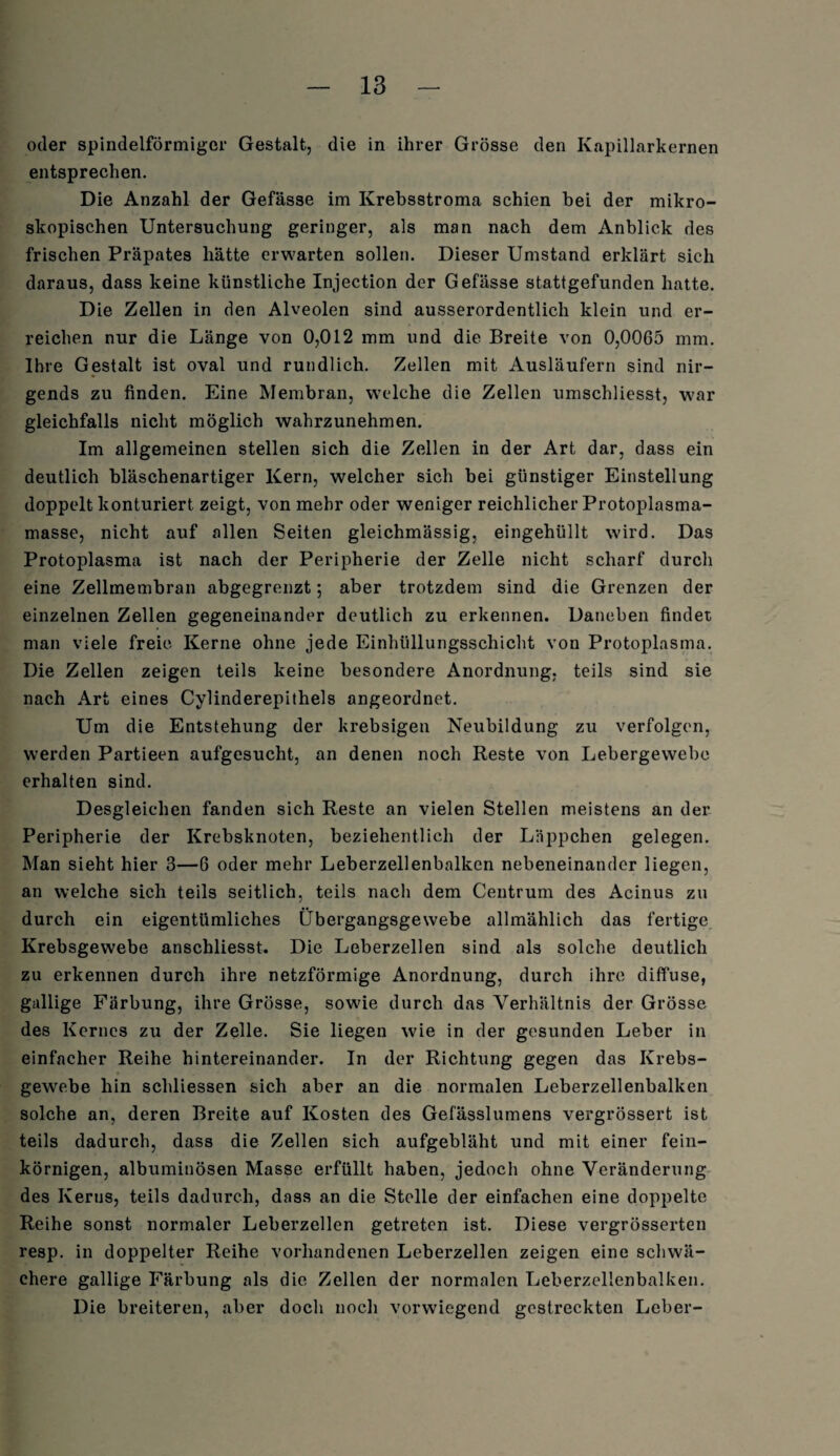 oder spindelförmiger Gestalt, die in ihrer Grösse den Kapillarkernen entsprechen. Die Anzahl der Gefässe im Krebsstroma schien bei der mikro¬ skopischen Untersuchung geringer, als man nach dem Anblick des frischen Präpates hätte erwarten sollen. Dieser Umstand erklärt sich daraus, dass keine künstliche Injection der Gefässe stattgefunden hatte. Die Zellen in den Alveolen sind ausserordentlich klein und er¬ reichen nur die Länge von 0,012 mm und die Breite von 0,0065 mm. Ihre Gestalt ist oval und rundlich. Zellen mit Ausläufern sind nir¬ gends zu finden. Eine Membran, welche die Zellen umschliesst, war gleichfalls nicht möglich wahrzunehmen. Im allgemeinen stellen sich die Zellen in der Art dar, dass ein deutlich bläschenartiger Kern, welcher sich bei günstiger Einstellung doppelt konturiert zeigt, von mehr oder weniger reichlicher Protoplasma¬ masse, nicht auf allen Seiten gleichmässig, eingehüllt wird. Das Protoplasma ist nach der Peripherie der Zelle nicht scharf durch eine Zellmembran abgegrenzt; aber trotzdem sind die Grenzen der einzelnen Zellen gegeneinander deutlich zu erkennen. Daneben findet man viele freie. Kerne ohne jede Einhüllungsschicht von Protoplasma. Die Zellen zeigen teils keine besondere Anordnung, teils sind sie nach Art eines Cylinderepithels angeordnet. Um die Entstehung der krebsigen Neubildung zu verfolgen, werden Partieen aufgesucht, an denen noch Reste von Lebergewebe erhalten sind. Desgleichen fanden sich Reste an vielen Stellen meistens an der Peripherie der Krebsknoten, beziehentlich der Läppchen gelegen. Man sieht hier 3—6 oder mehr Leberzellenbalken nebeneinander liegen, an welche sich teils seitlich, teils nach dem Centrum des Acinus zu durch ein eigentümliches Übergangsgewebe allmählich das fertige Krebsgewebe anschliesst. Die Leberzellen sind als solche deutlich zu erkennen durch ihre netzförmige Anordnung, durch ihre diffuse, gallige Färbung, ihre Grösse, sowie durch das Verhältnis der Grösse des Kernes zu der Zelle. Sie liegen wie in der gesunden Leber in einfacher Reihe hintereinander. In der Richtung gegen das Krebs¬ gewebe hin schliessen sich aber an die normalen Leberzellenbalken solche an, deren Breite auf Kosten des Gefässlumens vergrössert ist teils dadurch, dass die Zellen sich aufgebläht und mit einer fein¬ körnigen, albuminösen Masse erfüllt haben, jedoch ohne Veränderung des Kerns, teils dadurch, dass an die Stelle der einfachen eine doppelte Reihe sonst normaler Leberzellen getreten ist. Diese vergrösserten resp. in doppelter Reihe vorhandenen Leberzellen zeigen eine schwä¬ chere gallige Färbung als die Zellen der normalen Leberzellenbalken. Die breiteren, aber doch noch vorwiegend gestreckten Leber-