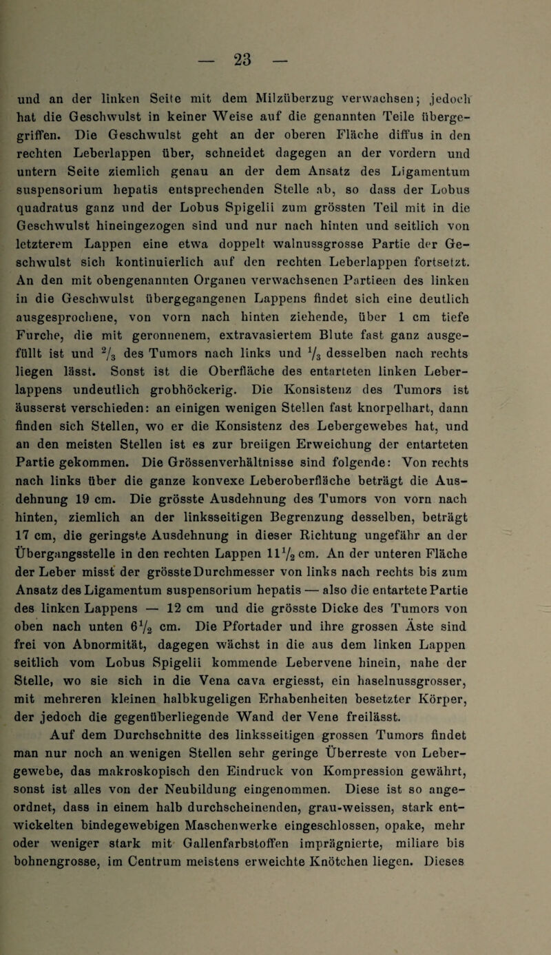 und an der linken Seite mit dem Milzüberzug verwachsen; jedoch hat die Geschwulst in keiner Weise auf die genannten Teile überge¬ griffen. Die Geschwulst geht an der oberen Fläche diffus in den rechten Leberlappen über, schneidet dagegen an der vordem und untern Seite ziemlich genau an der dem Ansatz des Ligamentum Suspensorium hepatis entsprechenden Stelle ab, so dass der Lobus quadratus ganz und der Lobus Spigelii zum grössten Teil mit in die Geschwulst hineingezogen sind und nur nach hinten und seitlich von letzterem Lappen eine etwa doppelt walnussgrosse Partie der Ge¬ schwulst sich kontinuierlich auf den rechten Leberlappen fortsetzt. An den mit obengenannten Organen verwachsenen Partieen des linken in die Geschwulst übergegangenen Lappens findet sich eine deutlich ausgesprochene, von vorn nach hinten ziehende, über 1 cm tiefe Furche, die mit geronnenem, extravasiertem Blute fast ganz ausge¬ füllt ist und 2/3 des Tumors nach links und 1/z desselben nach rechts liegen lässt. Sonst ist die Oberfläche des entarteten linken Leber¬ lappens undeutlich grobhöckerig. Die Konsistenz des Tumors ist äusserst verschieden: an einigen wenigen Stellen fast knorpelhart, dann finden sich Stellen, wo er die Konsistenz des Lebergewebes hat, und an den meisten Stellen ist es zur breiigen Erweichung der entarteten Partie gekommen. Die Grössenverhältnisse sind folgende: Von rechts nach links über die ganze konvexe Leberoberfläche beträgt die Aus¬ dehnung 19 cm. Die grösste Ausdehnung des Tumors von vorn nach hinten, ziemlich an der linksseitigen Begrenzung desselben, beträgt 17 cm, die geringste Ausdehnung in dieser Richtung ungefähr an der Übergangsstelle in den rechten Lappen HV2 cm- An der unteren Fläche der Leber misst der grössteDurchmesser von links nach rechts bis zum Ansatz des Ligamentum Suspensorium hepatis — also die entartete Partie des linken Lappens — 12 cm und die grösste Dicke des Tumors von oben nach unten 6V2 cm. Die Pfortader und ihre grossen Äste sind frei von Abnormität, dagegen wächst in die aus dem linken Lappen seitlich vom Lobus Spigelii kommende Lebervene hinein, nahe der Stelle, wo sie sich in die Vena cava ergiesst, ein haselnussgrosser, mit mehreren kleinen halbkugeligen Erhabenheiten besetzter Körper, der jedoch die gegenüberliegende Wand der Vene freilässt. Auf dem Durchschnitte des linksseitigen grossen Tumors findet man nur noch an wenigen Stellen sehr geringe Überreste von Leber¬ gewebe, das makroskopisch den Eindruck von Kompression gewährt, sonst ist alles von der Neubildung eingenommen. Diese ist so ange¬ ordnet, dass in einem halb durchscheinenden, grau-weissen, stark ent¬ wickelten bindegewebigen Maschenwerke eingeschlossen, opake, mehr oder weniger stark mit Gallenfarbstoffen imprägnierte, miliare bis bohnengrosse, im Centrum meistens erweichte Knötchen liegen. Dieses