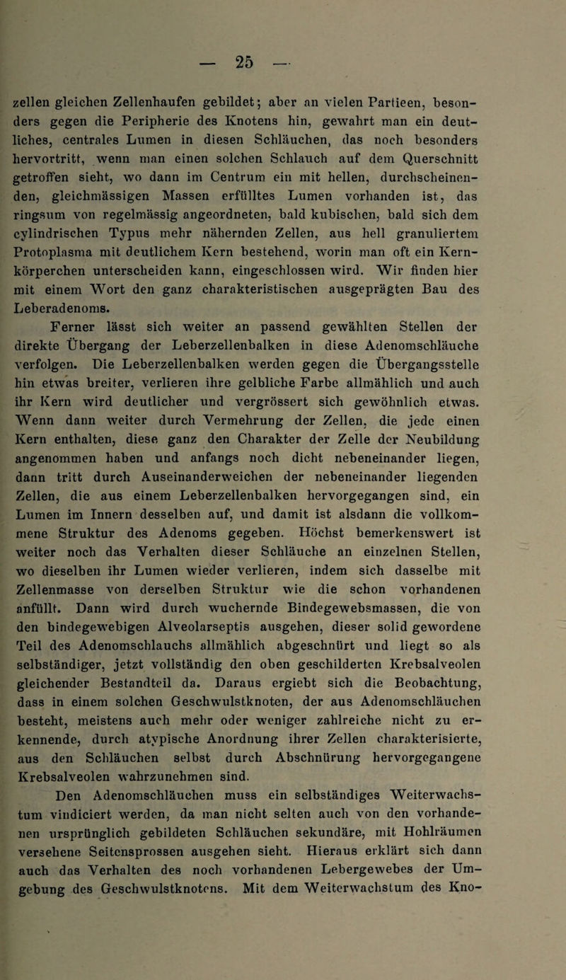 zellen gleichen Zellenhaufen gebildet; aber an vielen Partieen, beson¬ ders gegen die Peripherie des Knotens hin, gewahrt man ein deut¬ liches, centrales Lumen in diesen Schläuchen, das noch besonders hervortritt, wenn man einen solchen Schlauch auf dem Querschnitt getroffen sieht, wo dann im Centrum ein mit hellen, durchscheinen¬ den, gleichmässigen Massen erfülltes Lumen vorhanden ist, das ringsum von regelmässig angeordneten, bald kubischen, bald sich dem cylindrischen Typus mehr nähernden Zellen, aus hell granuliertem Protoplasma mit deutlichem Kern bestehend, worin man oft ein Kern¬ körperchen unterscheiden kann, eingeschlossen wird. Wir finden hier mit einem Wort den ganz charakteristischen ausgeprägten Bau des Leberadenoms. Ferner lässt sich weiter an passend gewählten Stellen der direkte Übergang der Leberzellenbalken in diese Adenomschläuche verfolgen. Die Leberzellenbalken werden gegen die Übergangsstelle hin etwas breiter, verlieren ihre gelbliche Farbe allmählich und auch ihr Kern wird deutlicher und vergrössert sich gewöhnlich etwas. Wenn dann weiter durch Vermehrung der Zellen, die jede einen Kern enthalten, diese ganz den Charakter der Zelle der Neubildung angenommen haben und anfangs noch dicht nebeneinander liegen, dann tritt durch Auseinanderweichen der nebeneinander liegenden Zellen, die aus einem Leberzellenbalken hervorgegangen sind, ein Lumen im Innern desselben auf, und damit ist alsdann die vollkom¬ mene Struktur des Adenoms gegeben. Höchst bemerkenswert ist weiter noch das Verhalten dieser Schläuche an einzelnen Stellen, wo dieselben ihr Lumen wieder verlieren, indem sich dasselbe mit Zellenmasse von derselben Struktur wie die schon vorhandenen anfüllt. Dann wird durch wuchernde Bindegewebsmassen, die von den bindegewebigen Alveolarseptis ausgehen, dieser solid gewordene Teil des Adenomschlauchs allmählich abgeschnürt und liegt so als selbständiger, jetzt vollständig den oben geschilderten Krebsalveolen gleichender Bestandteil da. Daraus ergiebt sich die Beobachtung, dass in einem solchen Geschwulstknoten, der aus Adenomschläuchen besteht, meistens auch mehr oder weniger zahlreiche nicht zu er¬ kennende, durch atypische Anordnung ihrer Zellen charakterisierte, aus den Schläuchen selbst durch Abschnürung hervorgegangene Krebsalveolen wahrzunehmen sind. Den Adenomschläuchen muss ein selbständiges Weiterwachs¬ tum vindiciert werden, da man nicht selten auch von den vorhande¬ nen ursprünglich gebildeten Schläuchen sekundäre, mit Hohlräumen versehene Seitensprossen ausgehen sieht. Hieraus erklärt sich dann auch das Verhalten des noch vorhandenen Lebergewebes der Um¬ gebung des Geschwulstknotens. Mit dem Weiterwachstum des Kno-