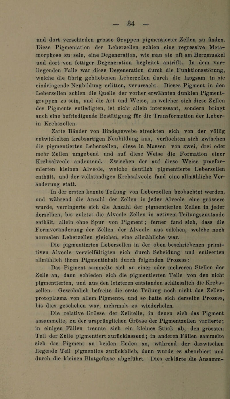 und dort verschieden grosse Gruppen pigmentierter Zellen zu finden. Diese Pigmentation der Leberzellen schien eine regressive Meta- morphose zu sein, eine Degeneration, wie man sie oft am Herzmuskel und dort von fettiger Degeneration begleitet antrifft. In dem vor¬ liegenden Falle war diese Degeneration durch die Funktionsstörung, welche die übrig gebliebenen Leberzellen durch die langsam in sie eindringende Neubildung erlitten, verursacht. Dieses Pigment in den Leberzellen schien die Quelle der vorher erwähnten dunklen Pigment¬ gruppen zu sein, und die Art und Weise, in welcher sich diese Zellen des Pigments entledigten, ist nicht allein interessant, sondern bringt auch eine befriedigend« Bestätigung für die Transformation der Leber¬ in Krebszellen. Zarte Bänder von Bindegewebe streckten sich von der völlig entwickelten krebsartigen Neubildung aus, verflochten sich zwischen die pigmentierten Leberzellen, diese in Massen von zwei, drei oder mehr Zellen umgebend und auf diese Weise die Formation einer Krebsalveole andeutend. Zwischen der auf diese Weise praefor- mierten kleinen Alveole, welche deutlich pigmentierte Leberzellen enthält, und der vollständigen Krebsalveole fand eine allmähliche Ver¬ änderung statt. In der ersten konnte Teilung von Leberzellen beobachtet werden, und während die Anzahl der Zellen in jeder Alveole eine grössere wurde, verringerte sich die Anzahl der pigmentierten Zellen in jeder derselben, bis zuletzt die Alveole Zellen in activem Teilungszustande enthält, allein ohne Spur von Pigment; ferner fand sich, dass die Formveränderung der Zellen der Alveole aus solchen, welche noch normalen Leberzellen gleichen, eine allmähliche war. Die pigmentierten Leberzellen in der oben beschriebenen primi¬ tiven Alveole vervielfältigten sich durch Scheidung und entleerten allmählich ihren Pigmentinhalt durch folgenden Prozess: Das Pigment sammelte sich an einer oder mehreren Stellen der Zelle an, dann schieden sich die pigmentierten Teile von den nicht pigmentierten, und aus den letzteren entstanden schliesslich die Krebs¬ zellen. Gewöhnlich befreite die erste Teilung noch nicht das Zellen¬ protoplasma von allem Pigmente, und so hatte sich derselbe Prozess, bis dies geschehen war, mehrmals zu wiederholen. Die relative Grösse der Zellteile, in denen sich das Pigment ansammelte, zu der ursprünglichen Grösse der Pigmentzellen variierte; in einigen Fällen trennte sich ein kleines Stück ab, den grössten Teil der Zelle pigmentiert zurücklassend; in anderen Fällen sammelte sich das Pigment an beiden Enden an, während der dazwischen liegende Teil pigmentlos zurückblieb, dann wurde es absorbiert und durch die kleinen Blutgefässe abgeführt. Dies erklärte die Ansamm-