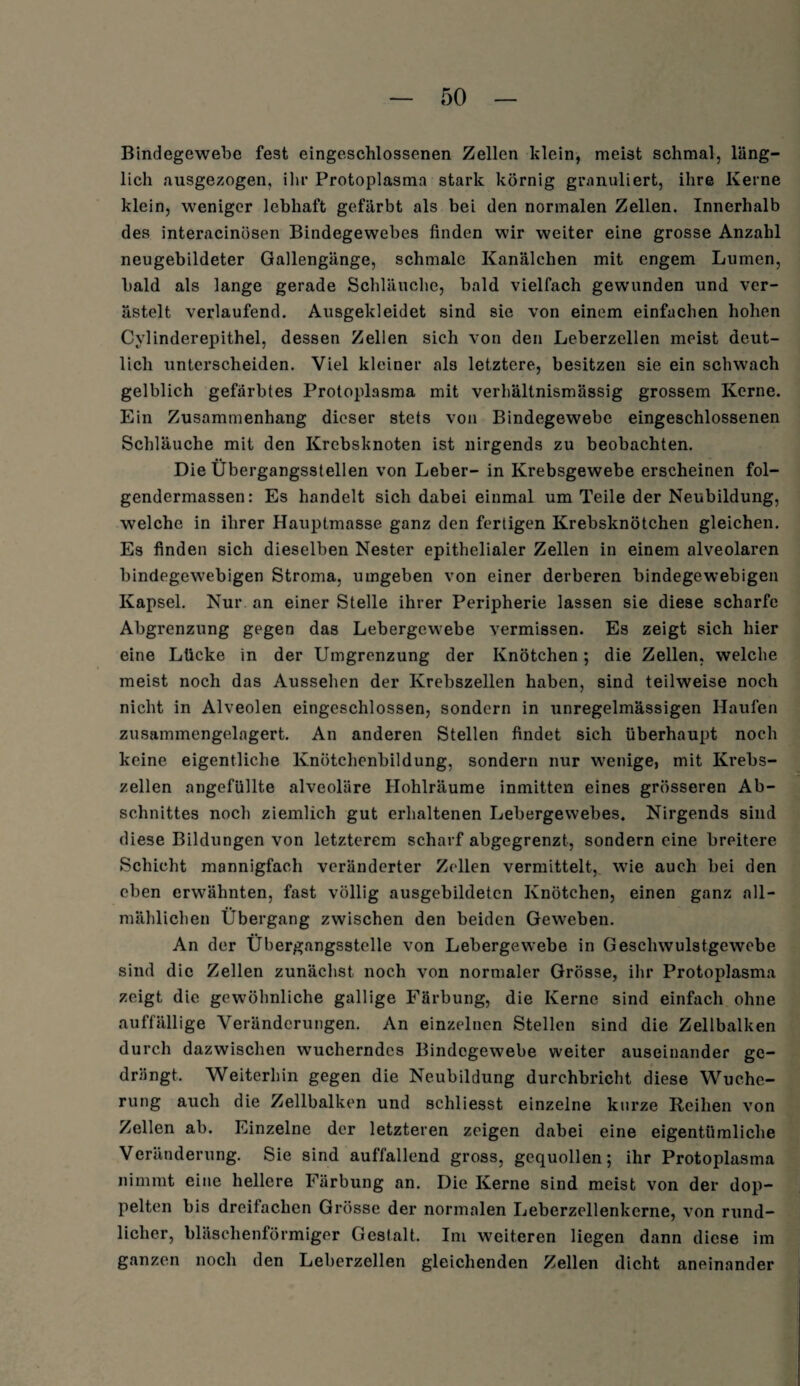 Bindegewebe fest eingeschlossenen Zellen klein, meist schmal, läng¬ lich ausgezogen, ihr Protoplasma stark körnig granuliert, ihre Kerne klein, weniger lebhaft gefärbt als bei den normalen Zellen. Innerhalb des interacinösen Bindegewebes finden wir weiter eine grosse Anzahl neugebildeter Gallengänge, schmale Kanälchen mit engem Lumen, bald als lange gerade Schläuche, bald vielfach gewunden und ver¬ ästelt verlaufend. Ausgekleidet sind sie von einem einfachen hohen Cylinderepithel, dessen Zellen sich von den Leberzellen meist deut¬ lich unterscheiden. Viel kleiner als letztere, besitzen sie ein schwach gelblich gefärbtes Protoplasma mit verhältnismässig grossem Kerne. Ein Zusammenhang dieser stets von Bindegewebe eingeschlossenen Schläuche mit den Krebsknoten ist nirgends zu beobachten. Die Übergangsstellen von Leber- in Krebsgewebe erscheinen fol- gendermassen: Es handelt sich dabei einmal um Teile der Neubildung, welche in ihrer Hauptmasse ganz den fertigen Krebsknötchen gleichen. Es finden sich dieselben Nester epithelialer Zellen in einem alveolaren bindegewebigen Stroma, umgeben von einer derberen bindegewebigen Kapsel. Nur an einer Stelle ihrer Peripherie lassen sie diese scharfe Abgrenzung gegen das Lebergewebe vermissen. Es zeigt sich hier eine Lücke in der Umgrenzung der Knötchen; die Zellen, welche meist noch das Aussehen der Krebszellen haben, sind teilweise noch nicht in Alveolen eingeschlossen, sondern in unregelmässigen Haufen zusammengelagert. An anderen Stellen findet sich überhaupt noch keine eigentliche Knötchenbildung, sondern nur wenige, mit Krebs¬ zellen angefüllte alveoläre Hohlräume inmitten eines grösseren Ab¬ schnittes noch ziemlich gut erhaltenen Lebergewebes. Nirgends sind diese Bildungen von letzterem scharf abgegrenzt, sondern eine breitere Schicht mannigfach veränderter Zellen vermittelt, wie auch bei den eben erwähnten, fast völlig ausgebildetcn Knötchen, einen ganz all¬ mählichen Übergang zwischen den beiden Geweben. An der Übergangsstelle von Lebergewebe in Geschwulstgewebe sind die Zellen zunächst noch von normaler Grösse, ihr Protoplasma zeigt die gewöhnliche gallige Färbung, die Kerne sind einfach ohne auffällige Veränderungen. An einzelnen Stellen sind die Zellbalken durch dazwischen wucherndes Bindegewebe weiter auseinander ge¬ drängt, Weiterhin gegen die Neubildung durchbricht diese Wuche¬ rung auch die Zellbalken und schliesst einzelne kurze Reihen von Zellen ab. Einzelne der letzteren zeigen dabei eine eigentümliche Veränderung. Sie sind auffallend gross, gequollen; ihr Protoplasma nimmt eine hellere Färbung an. Die Kerne sind meist von der dop¬ pelten bis dreifachen Grösse der normalen Leberzellenkcrne, von rund¬ licher, bläschenförmiger Gestalt. Im weiteren liegen dann diese im ganzen noch den Leberzellen gleichenden Zellen dicht aneinander