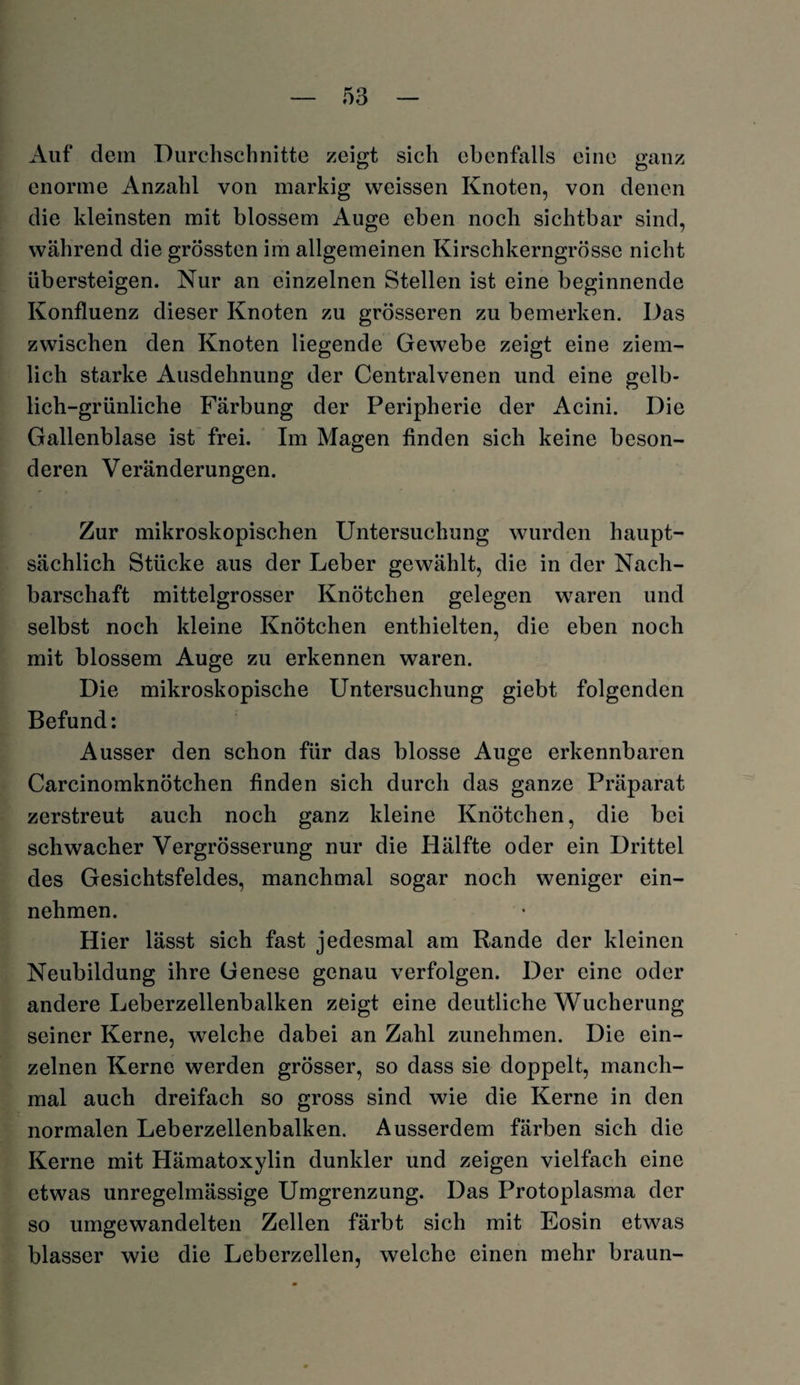 Auf dem Durchschnitte zeigt sich ebenfalls eine ganz enorme Anzahl von markig weissen Knoten, von denen die kleinsten mit blossem Auge eben noch sichtbar sind, während die grössten im allgemeinen Kirschkerngrösse nicht übersteigen. Nur an einzelnen Stellen ist eine beginnende Konfluenz dieser Knoten zu grösseren zu bemerken. Das zwischen den Knoten liegende Gewebe zeigt eine ziem¬ lich starke Ausdehnung der Centralvenen und eine gelb¬ lich-grünliche Färbung der Peripherie der Acini. Die Gallenblase ist frei. Im Magen finden sich keine beson¬ deren Veränderungen. Zur mikroskopischen Untersuchung wurden haupt¬ sächlich Stücke aus der Leber gewählt, die in der Nach¬ barschaft mittelgrosser Knötchen gelegen waren und selbst noch kleine Knötchen enthielten, die eben noch mit blossem Auge zu erkennen waren. Die mikroskopische Untersuchung giebt folgenden Befund: Ausser den schon für das blosse Auge erkennbaren Carcinomknötchen finden sich durch das ganze Präparat zerstreut auch noch ganz kleine Knötchen, die bei schwacher Vergrösserung nur die Hälfte oder ein Drittel des Gesichtsfeldes, manchmal sogar noch weniger ein¬ nehmen. Hier lässt sich fast jedesmal am Rande der kleinen Neubildung ihre Genese genau verfolgen. Der eine oder andere Leberzellenbalken zeigt eine deutliche Wucherung seiner Kerne, welche dabei an Zahl zunehmen. Die ein¬ zelnen Kerne werden grösser, so dass sie doppelt, manch¬ mal auch dreifach so gross sind wie die Kerne in den normalen Leberzellenbalken. Ausserdem färben sich die Kerne mit Hämatoxylin dunkler und zeigen vielfach eine etwas unregelmässige Umgrenzung. Das Protoplasma der so umgewandelten Zellen färbt sich mit Eosin etwas blasser wie die Leberzellen, welche einen mehr braun-