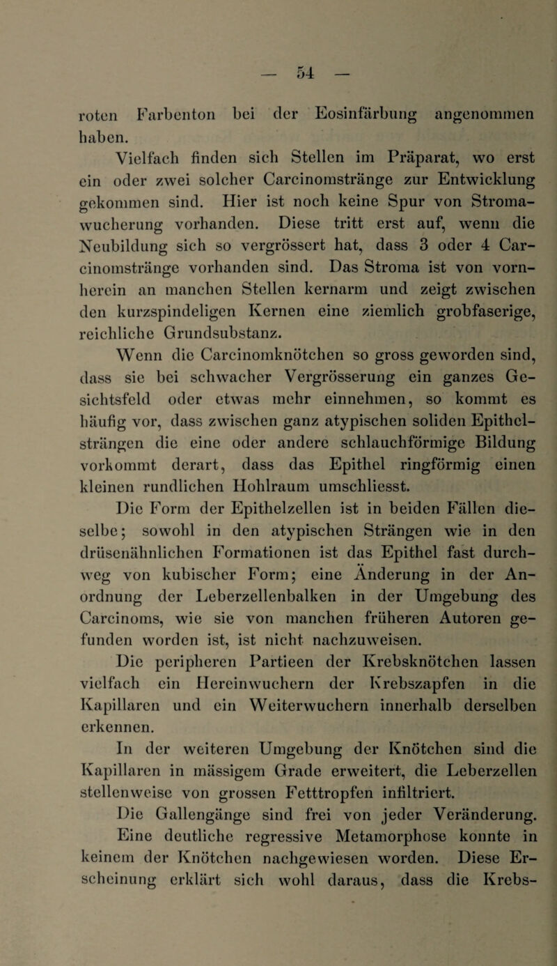 roten Farbenton bei der Eosinfärbung angenommen haben. Vielfach finden sich Stellen im Präparat, wo erst ein oder zwei solcher Carcinomstränge zur Entwicklung gekommen sind. Hier ist noch keine Spur von Stroma¬ wucherung vorhanden. Diese tritt erst auf, wenn die Neubildung sich so vergrösscrt hat, dass 3 oder 4 Car¬ cinomstränge vorhanden sind. Das Stroma ist von vorn¬ herein an manchen Stellen kernarm und zeigt zwischen den kurzspindeligen Kernen eine ziemlich grobfaserige, reichliche G rundsubstanz. Wenn die Carcinomknütchen so gross geworden sind, dass sie bei schwacher Vergrösserung ein ganzes Ge¬ sichtsfeld oder etwas mehr einnehmen, so kommt es häufig vor, dass zwischen ganz atypischen soliden Epithcl- strängcn die eine oder andere schlauchförmige Bildung vorkommt derart, dass das Epithel ringförmig einen kleinen rundlichen Hohlraum umschliesst. Die Form der Epithelzellen ist in beiden Fällen die¬ selbe; sowohl in den atypischen Strängen wie in den drüsenähnlichen Formationen ist das Epithel fast durch¬ weg von kubischer Form; eine Änderung in der An¬ ordnung der Leberzellenbalken in der Umgebung des Carcinoms, wie sie von manchen früheren Autoren ge¬ funden worden ist, ist nicht nachzuweisen. Die peripheren Partieen der Krebsknötchen lassen vielfach ein Hereinwuchern der Krebszapfen in die Kapillaren und ein Weiterwuchern innerhalb derselben erkennen. In der weiteren Umgebung der Knötchen sind die Kapillaren in mässigem Grade erweitert, die Leberzellen stellenweise von grossen Fetttropfen infiltriert. Die Gallengänge sind frei von jeder Veränderung. Eine deutliche regressive Metamorphose konnte in keinem der Knötchen nachgewiesen worden. Diese Er¬ scheinung erklärt sich wohl daraus, dass die Krebs-