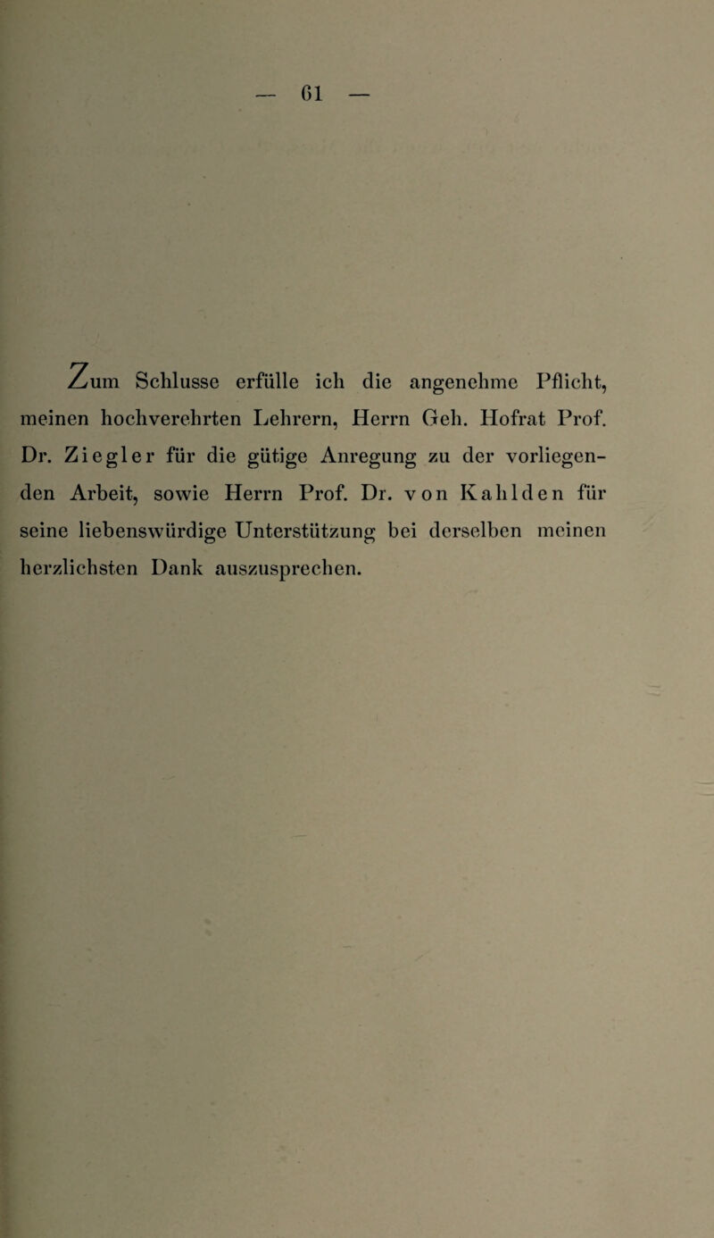 Zum Schlüsse erfülle ich die angenehme Pflicht, meinen hochverehrten Lehrern, Herrn Geh. Hofrat Prof. Dr. Ziegler für die gütige Anregung zu der vorliegen¬ den Arbeit, sowie Herrn Prof. Dr. von Kahlden für seine liebenswürdige Unterstützung bei derselben meinen herzlichsten Dank auszusprechen.