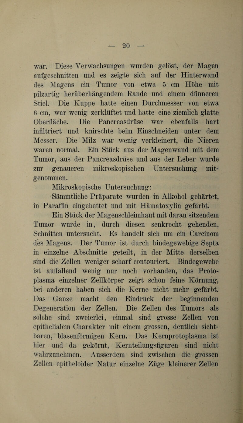 war. Diese Verwachsungen wurden gelöst, der Magen aufgeschnitten und es zeigte sich auf der Hinterwand des Magens ein Tumor von etwa 5 cm Höhe mit pilzartig herüberhängendem Hände und einem dünneren Stiel. Die Kuppe hatte einen Durchmesser von etwa 6 cm, war wenig zerklüftet und hatte eine ziemlich glatte Oberfläche. Die Pancreasdrüse war ebenfalls hart infiltriert und knirschte beim Einschneiden unter dem Messer. Die Milz war wenig verkleinert, die Nieren waren normal. Ein Stück aus der Magenwand mit dem Tumor, aus der Pancreasdrüse und aus der Leber wurde zur genaueren mikroskopischen Untersuchung mit¬ genommen. Mikroskopische Untersuchung: Sämmtliche Präparate wurden in Alkohol gehärtet, in Paraffin eingebettet und mit Hämatoxylin gefärbt. Ein Stück der Magenschleimhaut mit daran sitzendem Tumor wurde in, durch diesen senkrecht gehenden, Schnitten untersucht. Es handelt sich um ein Carcinom des Magens. Der Tumor ist durch bindegewebige Septa in einzelne Abschnitte geteilt, in der Mitte derselben sind die Zellen weniger scharf contouriert. Bindegewebe ist auffallend wenig nur noch vorhanden, das Proto¬ plasma einzelner Zellkörper zeigt schon feine Körnung, bei anderen haben sich die Kerne nicht mehr gefärbt. Das Ganze macht den Eindruck der beginnenden Degeneration der Zellen. Die Zellen des Tumors als solche sind zweierlei, einmal sind grosse Zellen von epithelialem Charakter mit einem grossen, deutlich sicht¬ baren, blasenförmigen Kern. Das Kernprotoplasma ist hier und da gekörnt, Kernteilungsfiguren sind nicht wahrzunehmen. Ausserdem sind zwischen die grossen Zellen epitheloider Natur einzelne Züge kleinerer Zellen