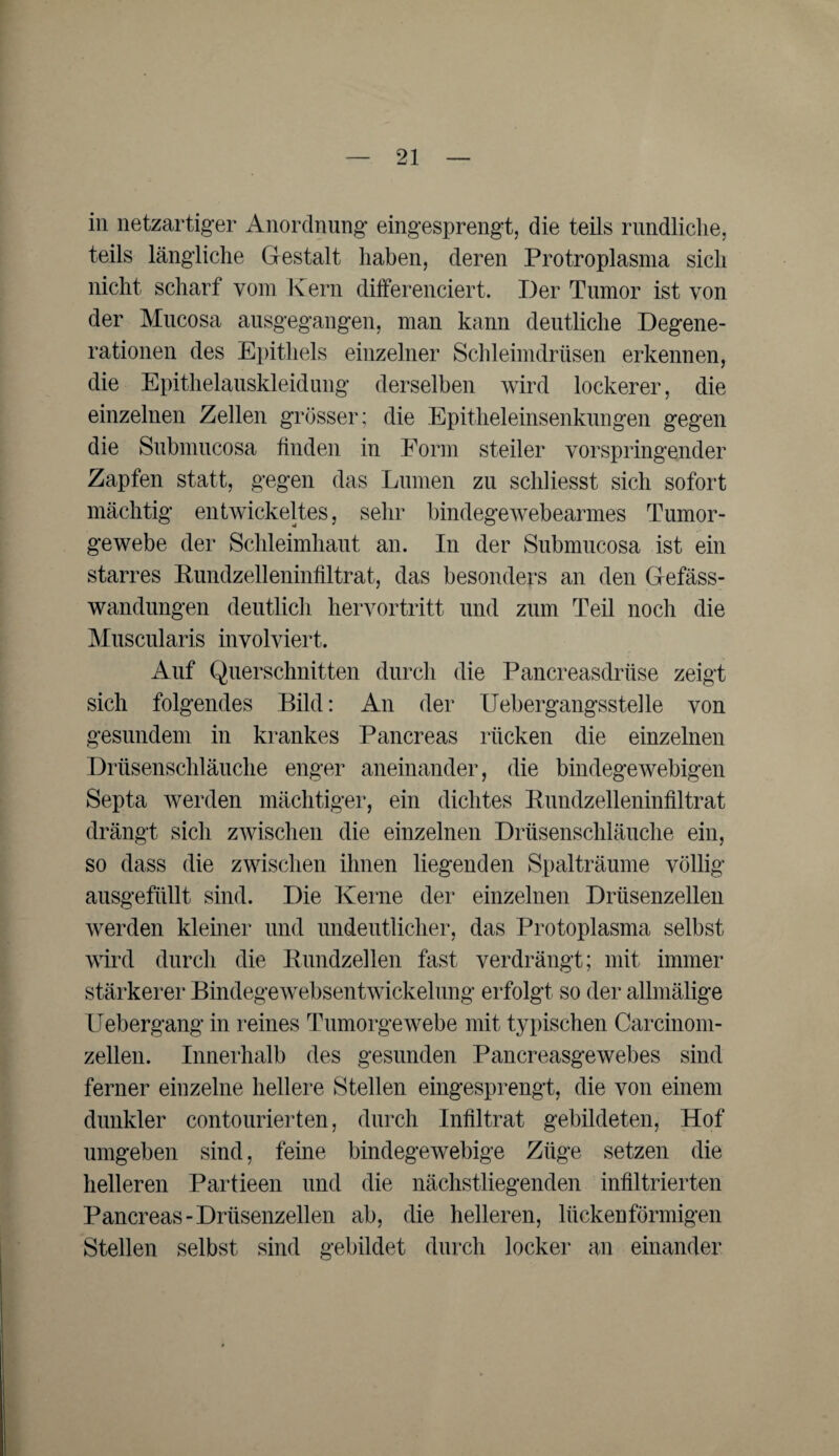 in netzartiger Anordnung eingesprengt, die teils rundliche, teils längliche Gestalt haben, deren Protroplasma sich nicht scharf vom Kern differenciert. Der Tumor ist von der Mucosa ausgegangen, man kann deutliche Degene¬ rationen des Epithels einzelner Schleimdrüsen erkennen, die Epithelauskleidung derselben wird lockerer, die einzelnen Zellen grösser; die Epitheleinsenkungen gegen die Submncosa finden in Form steiler vorspringender Zapfen statt, gegen das Lumen zu schliesst sich sofort mächtig entwickeltes, sehr bindegewebearmes Tumor¬ gewebe der Schleimhaut an. In der Submucosa ist ein starres Kundzelleninfiltrat, das besonders an den Gefäss- wandungen deutlich hervortritt und zum Teil noch die Muscularis involviert. Auf Querschnitten durch die Pancreasdrüse zeigt sich folgendes Bild: An der Uebergangsstelle von gesundem in krankes Pancreas rücken die einzelnen Drüsenschläuche enger aneinander, die bindegewebigen Septa werden mächtiger, ein dichtes Kundzelleninfiltrat drängt sich zwischen die einzelnen Drüsenschläuche ein, so dass die zwischen ihnen liegenden Spalträume völlig ausgefüllt sind. Die Kerne der einzelnen Drüsenzellen werden kleiner und undeutlicher, das Protoplasma selbst wird durch die Rundzellen fast verdrängt; mit immer stärkerer Bindegewebsentwickelung erfolgt so der allmälige Uebergang in reines Tumorgewebe mit typischen Carcinom- zellen. Innerhalb des gesunden Pancreasgewebes sind ferner einzelne hellere Stellen eingesprengt, die von einem dunkler contourierten, durch Infiltrat gebildeten, Hof umgeben sind, feine bindegewebige Züge setzen die helleren Partieen und die nächstliegenden infiltrierten Pancreas-Drüsenzellen ab, die helleren, liicken förmigen Stellen selbst sind gebildet durch locker an einander