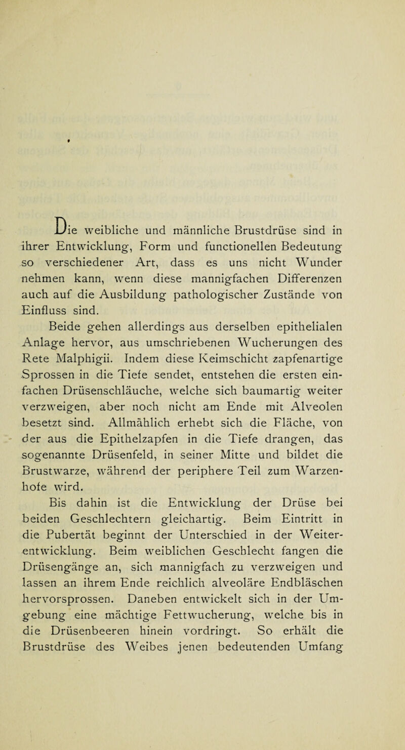 Die weibliche und männliche Brustdrüse sind in ihrer Entwicklung, Form und functioneilen Bedeutung so verschiedener Art, dass es uns nicht Wunder nehmen kann, wenn diese mannigfachen Differenzen auch auf die Ausbildung pathologischer Zustände von Einfluss sind. Beide gehen allerdings aus derselben epithelialen Anlage hervor, aus umschriebenen Wucherungen des Rete Malphigii. Indem diese Keimschicht zapfenartige Sprossen in die Tiefe sendet, entstehen die ersten ein¬ fachen Drüsenschläuche, welche sich baumartig weiter verzweigen, aber noch nicht am Ende mit Alveolen besetzt sind. Allmählich erhebt sich die Fläche, von der aus die Epithelzapfen in die Tiefe drangen, das sogenannte Drüsenfeld, in seiner Mitte und bildet die Brustwarze, während der periphere Teil zum Warzen¬ hofe wird. Bis dahin ist die Entwicklung der Drüse bei beiden Geschlechtern gleichartig. Beim Eintritt in die Pubertät beginnt der Unterschied in der Weiter¬ entwicklung. Beim weiblichen Geschlecht fangen die Drüsengänge an, sich mannigfach zu verzweigen und lassen an ihrem Ende reichlich alveoläre Endbläschen hervorsprossen. Daneben entwickelt sich in der Um¬ gebung eine mächtige Fett Wucherung, welche bis in die Drüsenbeeren hinein vordringt. So erhält die Brustdrüse des Weibes jenen bedeutenden Umfang