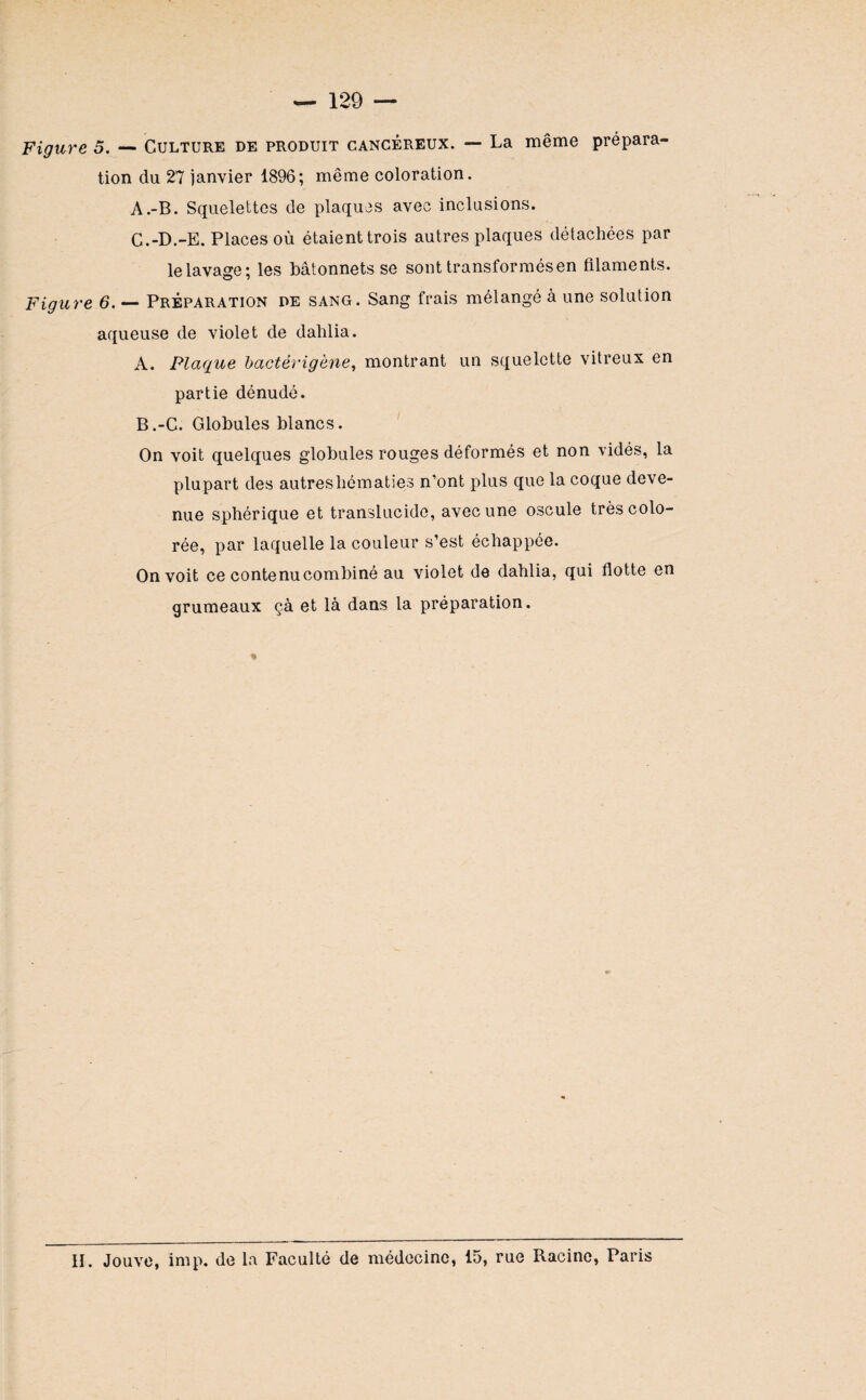 Figure 5. — Culture de produit cancéreux. — La même prépara¬ tion du 27 janvier 1896; même coloration. A.-B. Squelettes de plaques avec inclusions. C.-D.-E. Places où étaient trois autres plaques détachées par le lavage; les bâtonnets se sont transformésen filaments. Figure 6. — Préparation de sang. Sang frais mélangé à une solution aqueuse de violet de dahlia. A. Plaque bactêvigène, montrant un squelette vitreux en partie dénudé. B. -C. Globules blancs. On voit quelques globules rouges déformés et non vidés, la plupart des autreshématies n’ont plus que la coque deve¬ nue sphérique et translucide, avec une oscule très colo¬ rée, par laquelle la couleur s’est échappée. On voit ce conte nu combiné au violet de dahlia, qui flotte en grumeaux çà et là dans la préparation. II. Jouve, imp. de la Faculté de médecine, 15, rue Racine, Paris