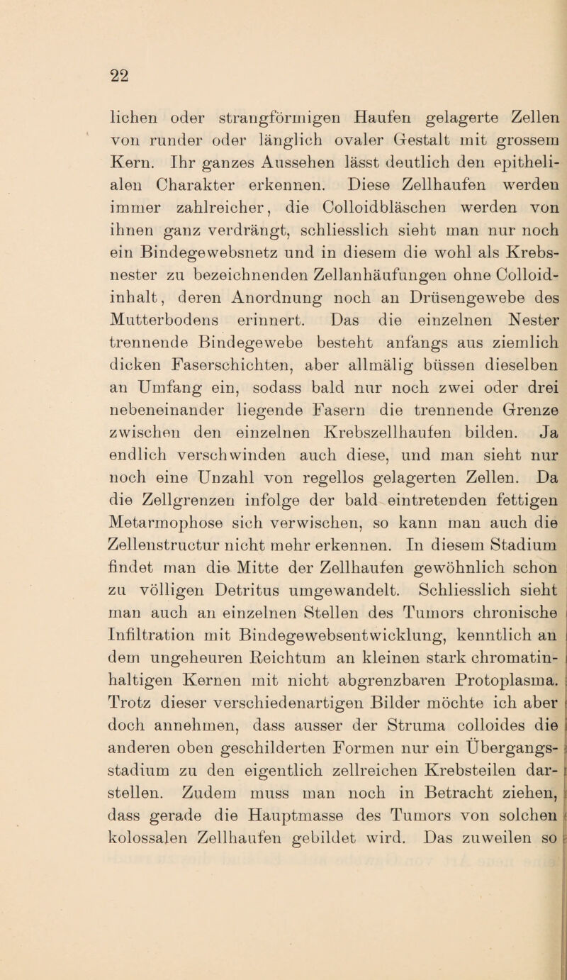 liehen oder strangförmigen Haufen gelagerte Zellen von runder oder länglich ovaler Gestalt mit grossem Kern. Ihr ganzes Aussehen lässt deutlich den epitheli¬ alen Charakter erkennen. Diese Zellhaufen werden immer zahlreicher, die Colloidbläschen werden von ihnen ganz verdrängt, schliesslich sieht man nur noch ein Bindegewebsnetz und in diesem die wohl als Krebs¬ nester zu bezeichnenden Zellanhäufungen ohne Colloid- inhalt, deren Anordnung noch an Drüsengewebe des Mutterbodens erinnert. Das die einzelnen Nester trennende Bindegewebe besteht anfangs aus ziemlich dicken Faserschichten, aber allmälig biissen dieselben an Umfang ein, sodass bald nur noch zwei oder drei nebeneinander liegende Fasern die trennende Grenze zwischen den einzelnen Krebszellhaufen bilden. Ja endlich verschwinden auch diese, und man sieht nur noch eine Unzahl von regellos gelagerten Zellen. Da die Zellgrenzen infolge der bald eintretenden fettigen Metarmophose sich verwischen, so kann man auch die Zellenstructur nicht mehr erkennen. In diesem Stadium findet man die Mitte der Zellhaufen gewöhnlich schon zu völligen Detritus umgewandelt. Schliesslich sieht man auch an einzelnen Stellen des Tumors chronische j Infiltration mit Bindegewebsentwicklung, kenntlich an i dem ungeheuren Reichtum an kleinen stark chromatin- haltigen Kernen mit nicht abgrenzbaren Protoplasma. Trotz dieser verschiedenartigen Bilder möchte ich aber \ doch annehmen, dass ausser der Struma colloides die i anderen oben geschilderten Formen nur ein Übergangs¬ stadium zu den eigentlich zellreichen Krebsteilen dar¬ stellen. Zudem muss man noch in Betracht ziehen, dass gerade die Hauptmasse des Tumors von solchen 1 kolossalen Zellhaufen gebildet wird. Das zuweilen so
