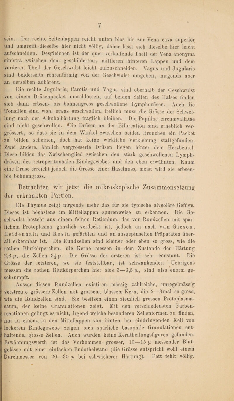 sein. Der rechte Seitenlappen reicht unten blos bis zur Vena cava superior und umgreift dieselbe hier nicht völlig, daher lässt sich dieselbe hier leicht aufschneiden. Desgleichen ist der quer verlaufende Theil der Vena anonyma sinistra zwischen dem geschilderten, mittleren hinteren Lappen und dem vorderen Theil der Geschwulst leicht aufzuschneiden. Vagus und Jugularis sind beiderseits röhrenförmig von der Geschwulst umgeben, nirgends aber an derselben adhärent. Die rechte Jugularis, Carotis und Vagus sind oberhalb der Geschwulst von einem Drüsenpacket umschlossen, auf beiden Seiten des Halses finden sich dann erbsen- bis bohnengross geschwollene Lymphdrüsen. Auch die Tonsillen sind wohl etwas geschwollen, freilich muss die Grösse der Schwel¬ lung nach der Alkoholhärtung fraglich bleiben. Die Papillae circumvallatae sind nicht geschwollen, die Drüsen an der Bifurcation sind erheblich ver- grössert, so dass sie in dem Winkel zwischen beiden Bronchen ein Packet zu bilden scheinen, doch hat keine wirkliche Verklebung stattgefunden. Zwei andere, ähnlich vergrösserte Drüsen liegen hinter dem Herzbeutel. Diese bilden das Zwischenglied zwischen den stark geschwollenen Lymph¬ drüsen des retroperitonäalen Bindegewebes und den eben erwähnten. Kaum eine Drüse erreicht jedoch die Grösse einer Haselnuss, meist wird sie erbsen- bis bohnengross. Betrachten wir jetzt die mikroskopische Zusammensetzung der erkrankten Partien. Die Thymus zeigt nirgends mehr das für sie typische alveoläre Gefüge. Dieses ist höchstens im Mittellappen spurenweise zu erkennen. Die Ge¬ schwulst besteht aus einem feinen Reticulum, das von Rundzellen mit spär¬ lichem Protoplasma gänzlich verdeckt ist, jedoch an nach van Gieson, Heidenhain und Rosin gefärbten und an ausgepinselten Präparaten über¬ all erkennbar ist. Die Rundzellen sind kleiner oder eben so gross, wie die rothen Blutkörperchen; die Kerne messen in dem Zustande der Härtung 2,6 p., die Zellen 3-| p.. Die Grösse der ersteren ist sehr constant. Die Grösse der letzteren, wo sie feststellbar, ist schwankender. Uebrigens messen die rothen Blutkörperchen hier blos 3—3,5 p-, sind also enorm ge¬ schrumpft. Ausser diesen Rundzellen existiren massig zahlreiche, unregelmässig verstreute grössere Zellen mit grossem, blassem Kern, die 2—3 mal so gross, wie die Rundzellen sind. Sie besitzen einen ziemlich grossen Protoplasma¬ saum, der keine Granulationen zeigt. Mit den verschiedensten Farben- reactionen gelingt es nicht, irgend welche besonderen Zellenformen zu finden, nur in einem, in den Mittellappen von hinten her eindringenden Keil von » lockerem Bindegewebe zeigen sich spärliche basophile Granulationen ent¬ haltende, grosse Zellen. Auch wurden keine Kerntheilungsfiguren gefunden. Erwähnungswerth ist das Vorkommen grosser, 10—15 p. messender Blut¬ gefässe mit einer einfachen Endothelwand (die Grösse entspricht wohl einem Durchmesser von 20—30 p. bei schwächerer Härtung). Fett fehlt völlig.