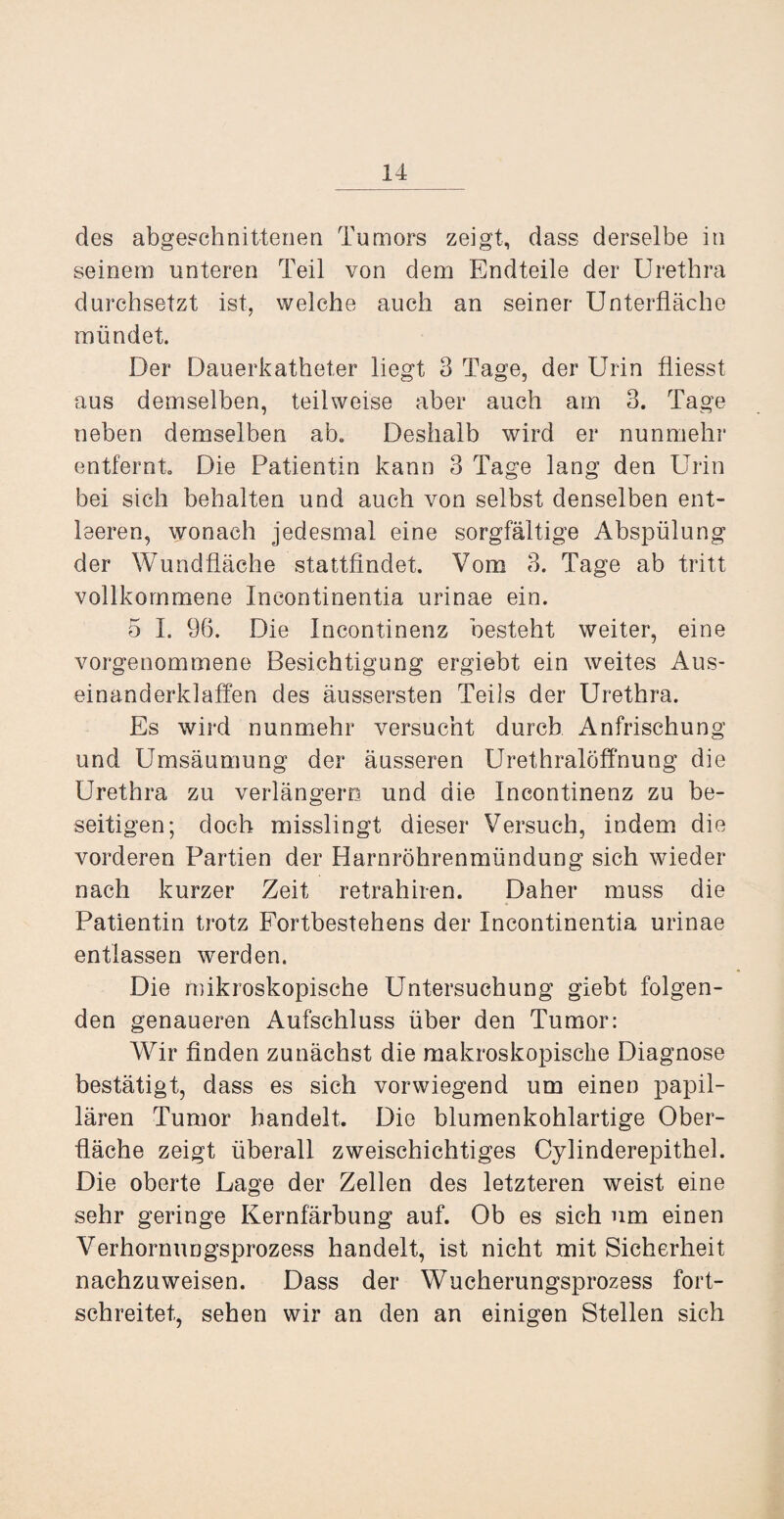 des abgeschnittenen Tumors zeigt, dass derselbe in seinem unteren Teil von dem Endteile der Urethra durchsetzt ist, welche auch an seiner Unterfläche mündet. Der Dauerkatheter liegt 3 Tage, der Urin fliesst aus demselben, teilweise aber auch am 3. Tage neben demselben ab. Deshalb wird er nunmehr entfernt. Die Patientin kann 3 Tage lang den Urin bei sich behalten und auch von selbst denselben ent¬ leeren, wonach jedesmal eine sorgfältige Abspülung der Wund fläche stattfindet. Vom 3. Tage ab tritt vollkommene Incontinentia urinae ein. 5 I. 96. Die Incontinenz besteht weiter, eine vorgenommene Besichtigung ergiebt ein weites Aus¬ einanderklaffen des äussersten Teils der Urethra. Es wird nunmehr versucht durch Anfrischung und Umsäumung der äusseren Urethralöffnung die Urethra zu verlängern und die Incontinenz zu be¬ seitigen; doch misslingt dieser Versuch, indem die vorderen Partien der Harnröhrenmündung sich wieder nach kurzer Zeit retrahiren. Daher muss die Patientin trotz Fortbestehens der Incontinentia urinae entlassen werden. Die mikroskopische Untersuchung giebt folgen¬ den genaueren Aufschluss über den Tumor: Wir finden zunächst die makroskopische Diagnose bestätigt, dass es sich vorwiegend um einen papil¬ lären Tumor handelt. Die blumenkohlartige Ober¬ fläche zeigt überall zweischichtiges Cylinderepithel. Die oberte Lage der Zellen des letzteren weist eine sehr geringe Kernfärbung auf. Ob es sich um einen Verhornungsprozess handelt, ist nicht mit Sicherheit nachzuweisen. Dass der Wucherungsprozess fort¬ schreitet, sehen wir an den an einigen Stellen sich